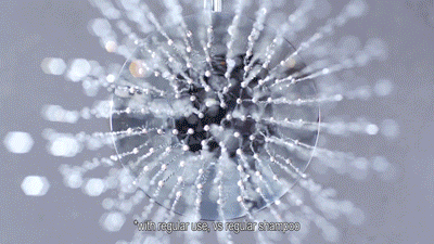 Head, Shoulders & Claudia