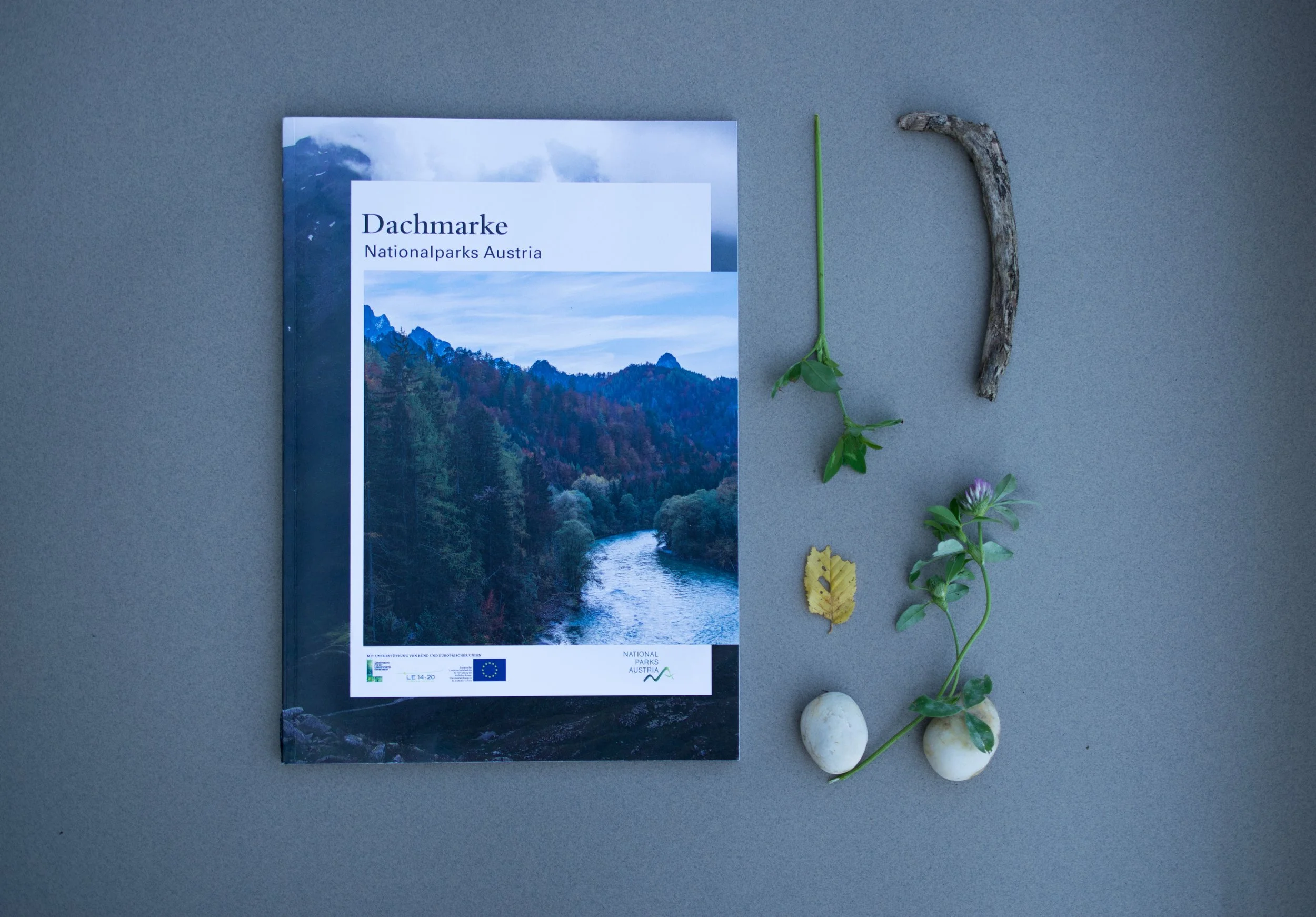 Broschüre über österreichische Nationalparks, umgeben von kleinen Naturmaterialien, einschließlich eines Astes, einer Blume, einem Blatt und Steinen auf einer grauen Oberfläche.