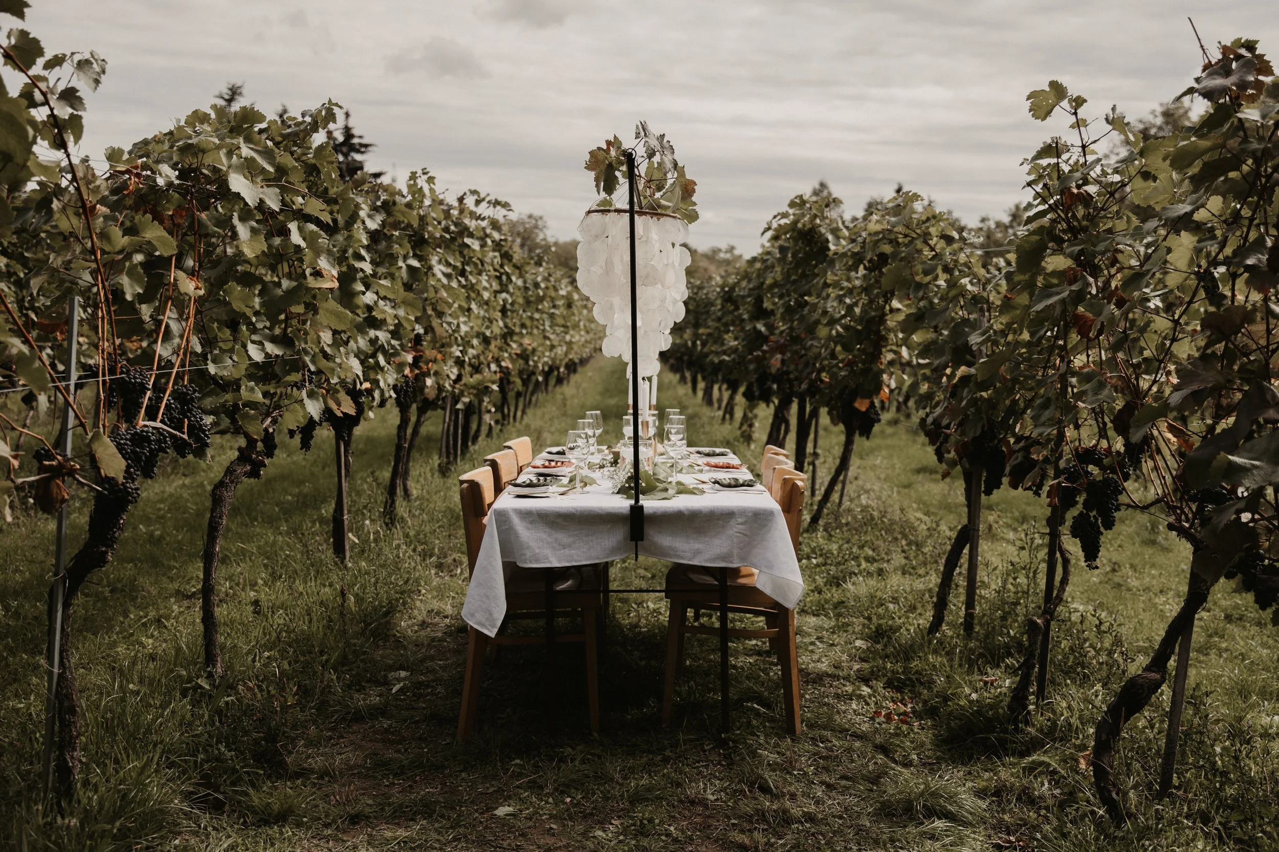 Hochzeitstafel mitten im Weingarten in Wien