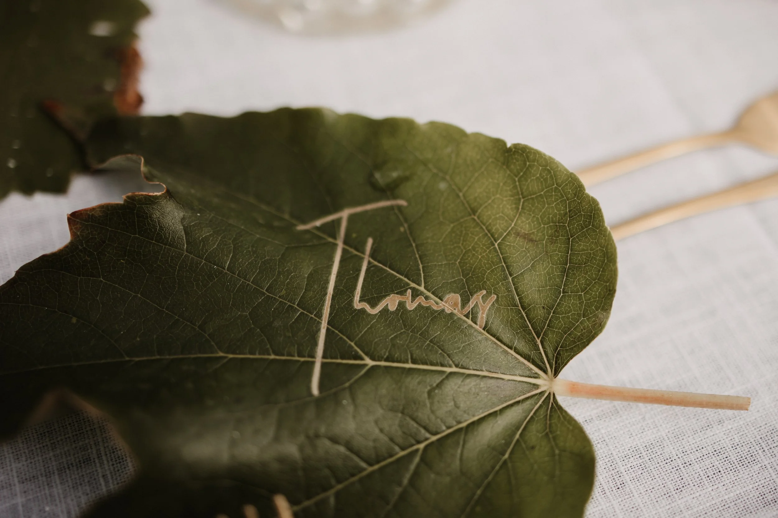 Detailaufnahme eines echten lasergravierten Weinblattes als Namenskärtchen für die Hochzeit