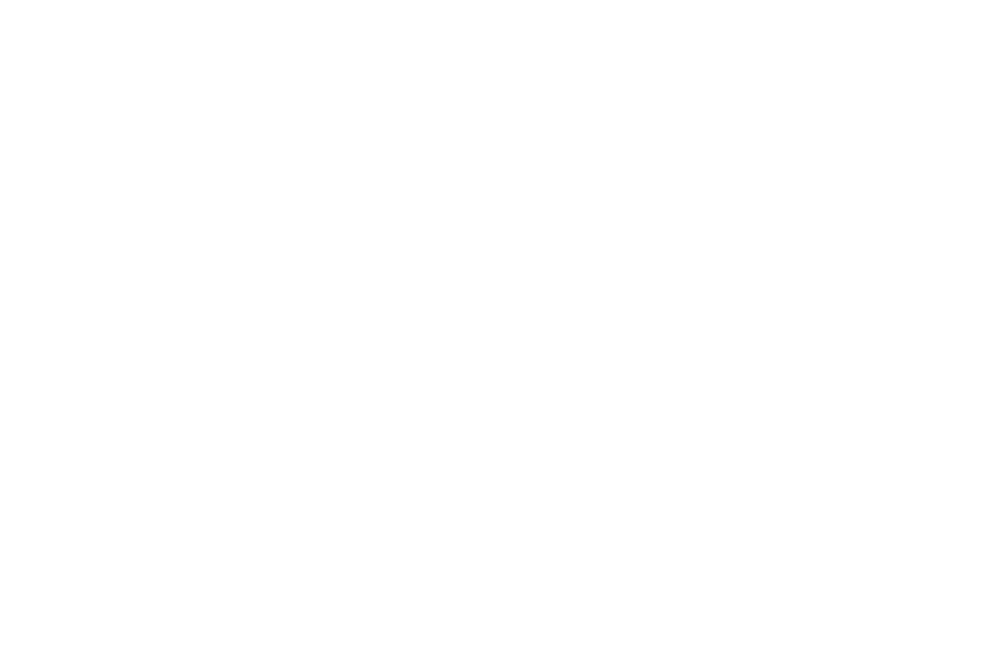 Schwarzes Logo mit weißen Linien: Zentral ein ornamentartiges Rahmen mit den Buchstaben V, S, S. Links und rechts je eine Linie, darunter die Beschriftung 'EST.' auf der linken Seite und '2019' auf der rechten Seite.