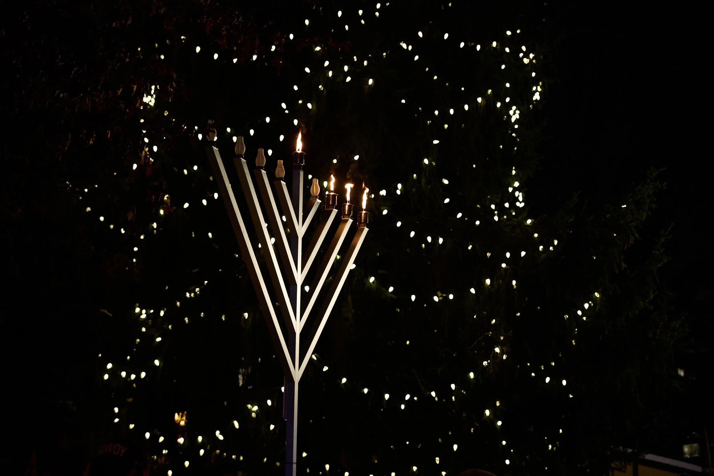 2025-12-16 Menorah Lighting 225.jpg