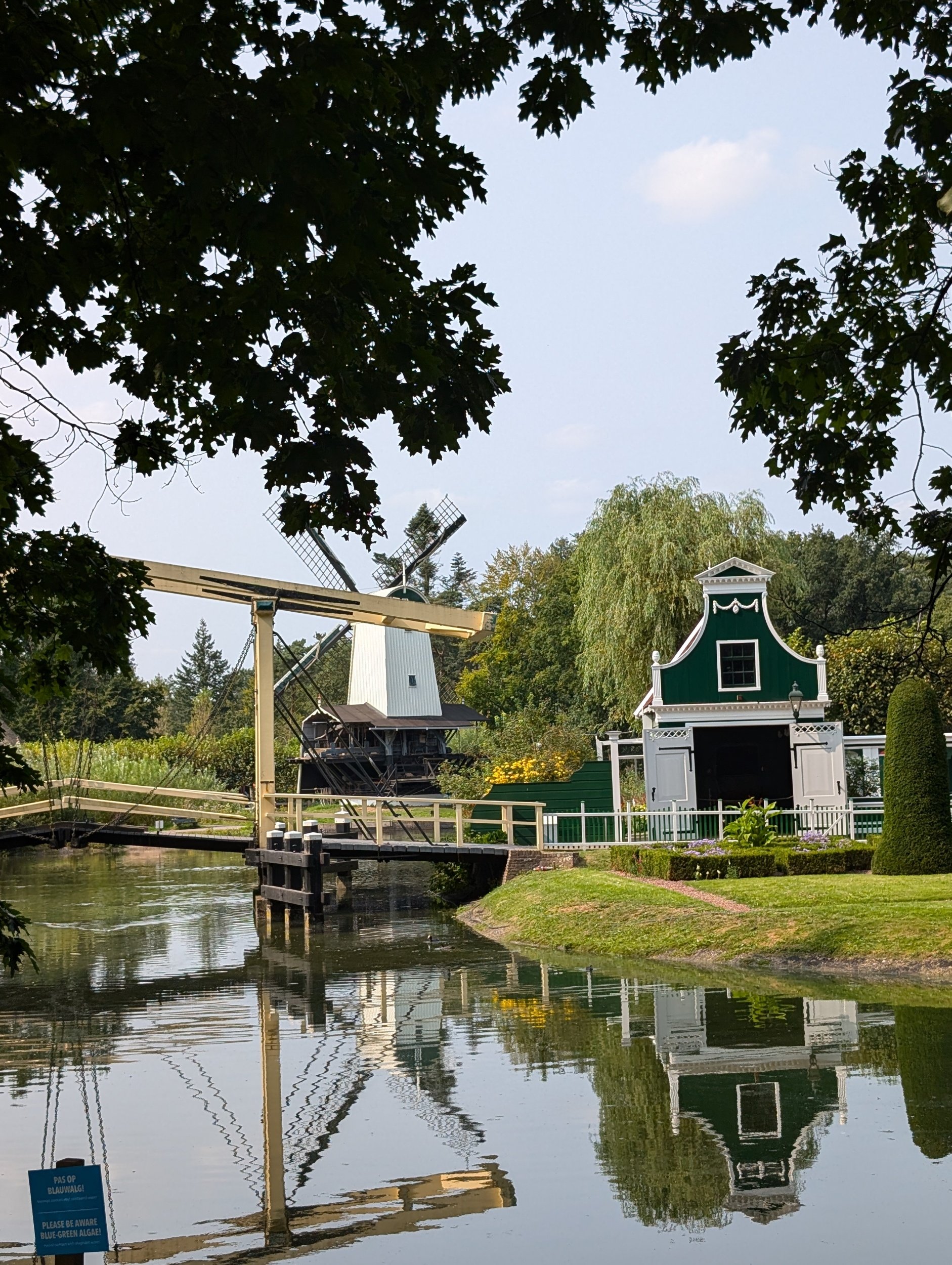 Chaos, Tulips, and Windmills