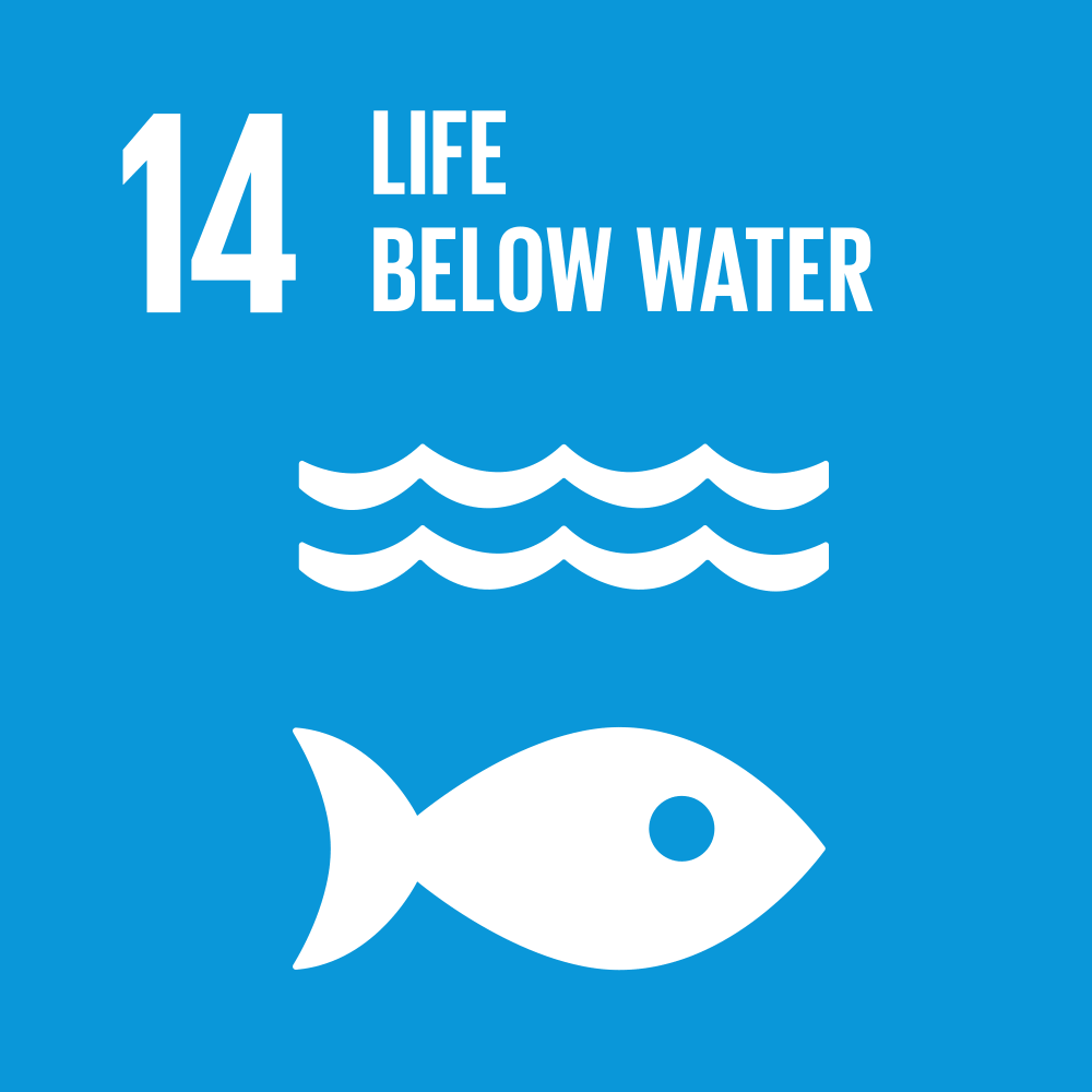 United Nations Sustainable Development Goal 14 icon containing blue fish and wave symbols.