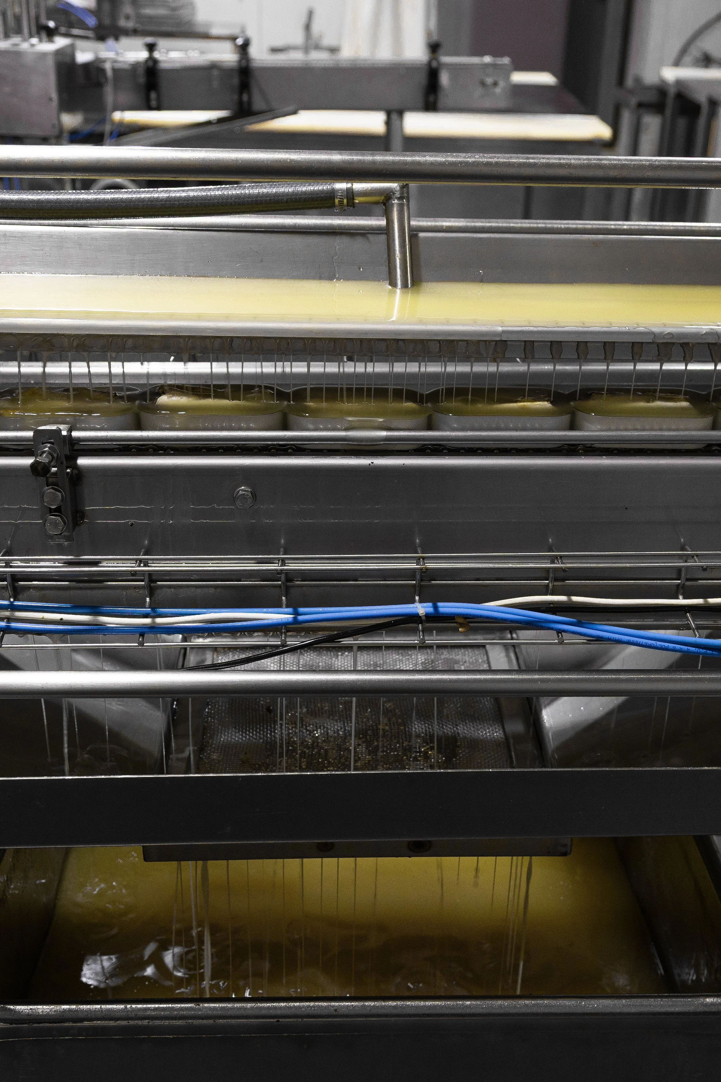 Industrial track with tinned cans being filled with oil.