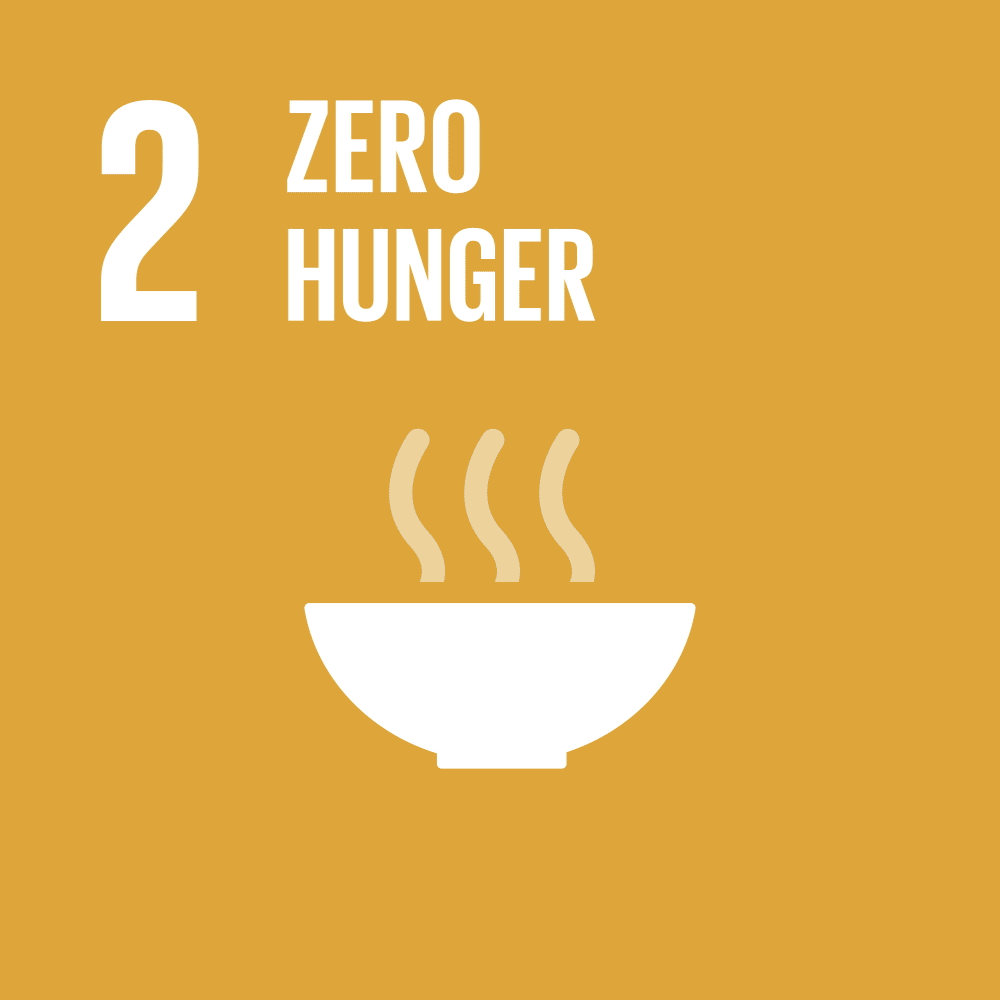 United Nations Sustainable Development Goal 8 icon for Zero hunger, featuring a orange bowl and steam rising from it.