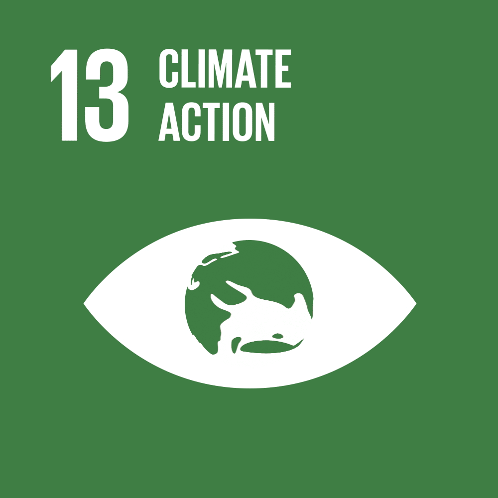 United Nations Sustainable Development Goal 13 icon for Climate Action, featuring a green eye-shaped icon with a globe inside.