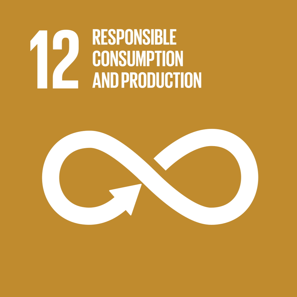 United Nations Sustainable Development Goal 12 icon for responsible consumption and production, symbolized by an infinity loop with an arrow.