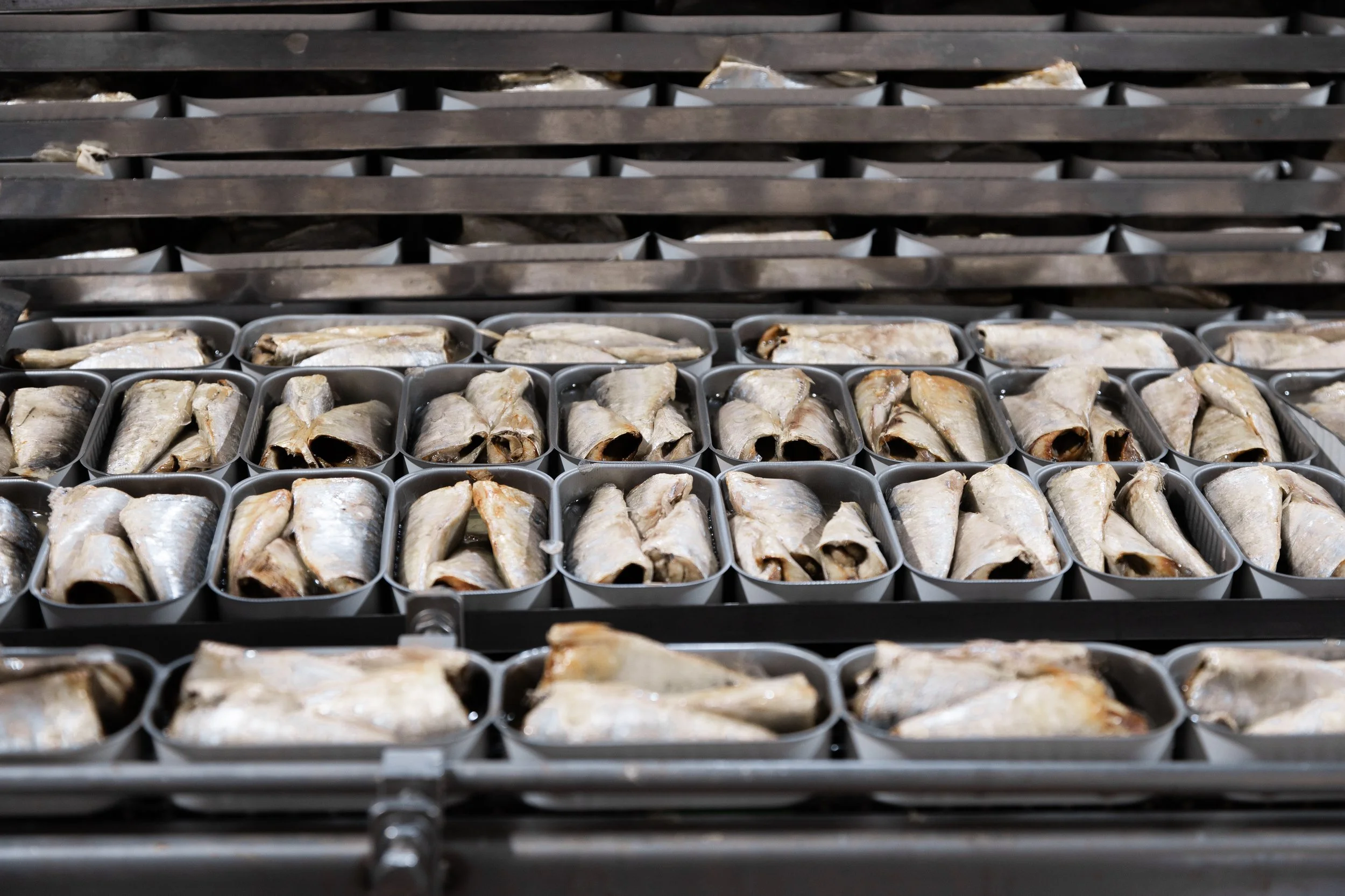 Rows of small metal baking trays filled with fish fillets on a commercial oven rack.