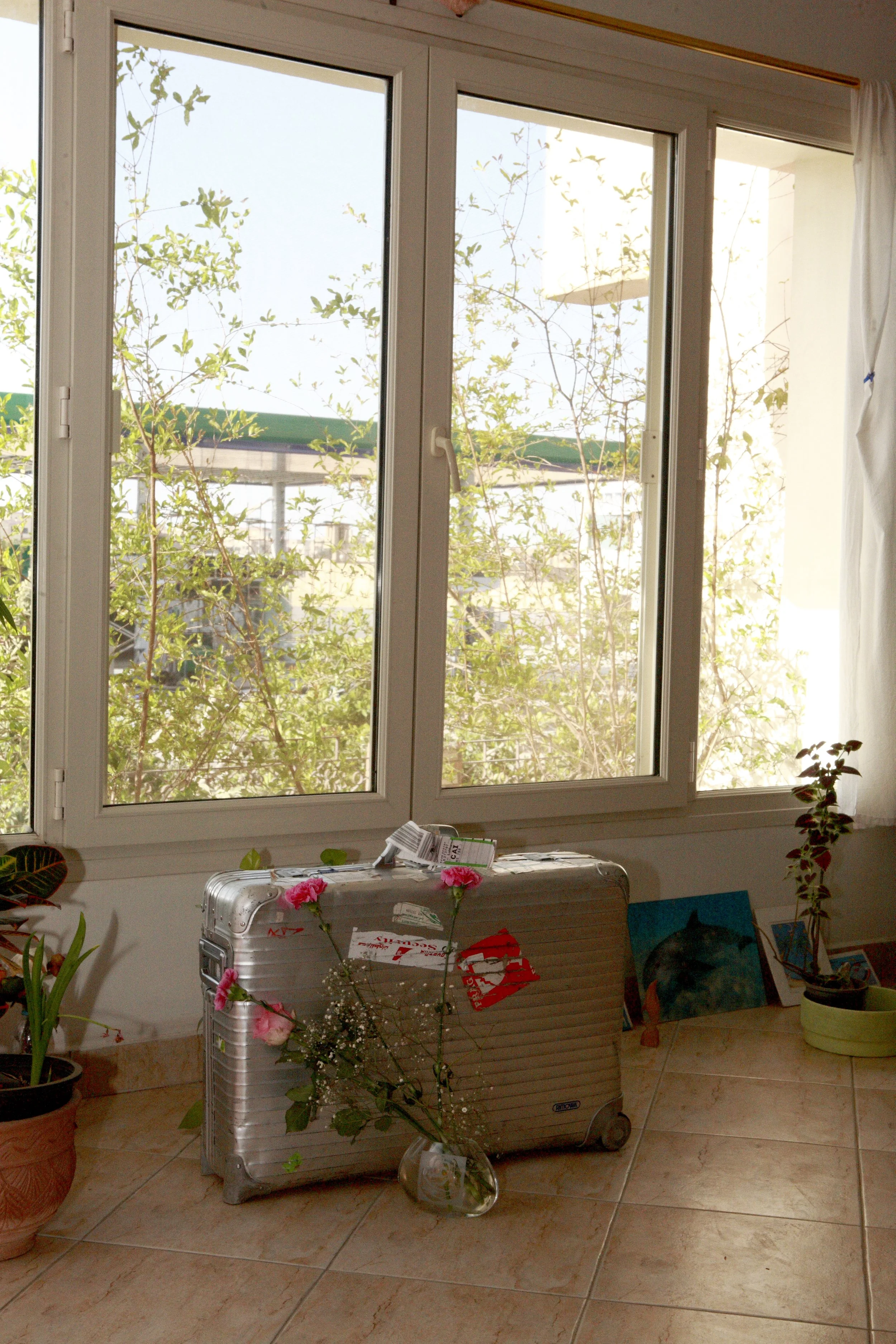 haulia 2011 (41).JPG