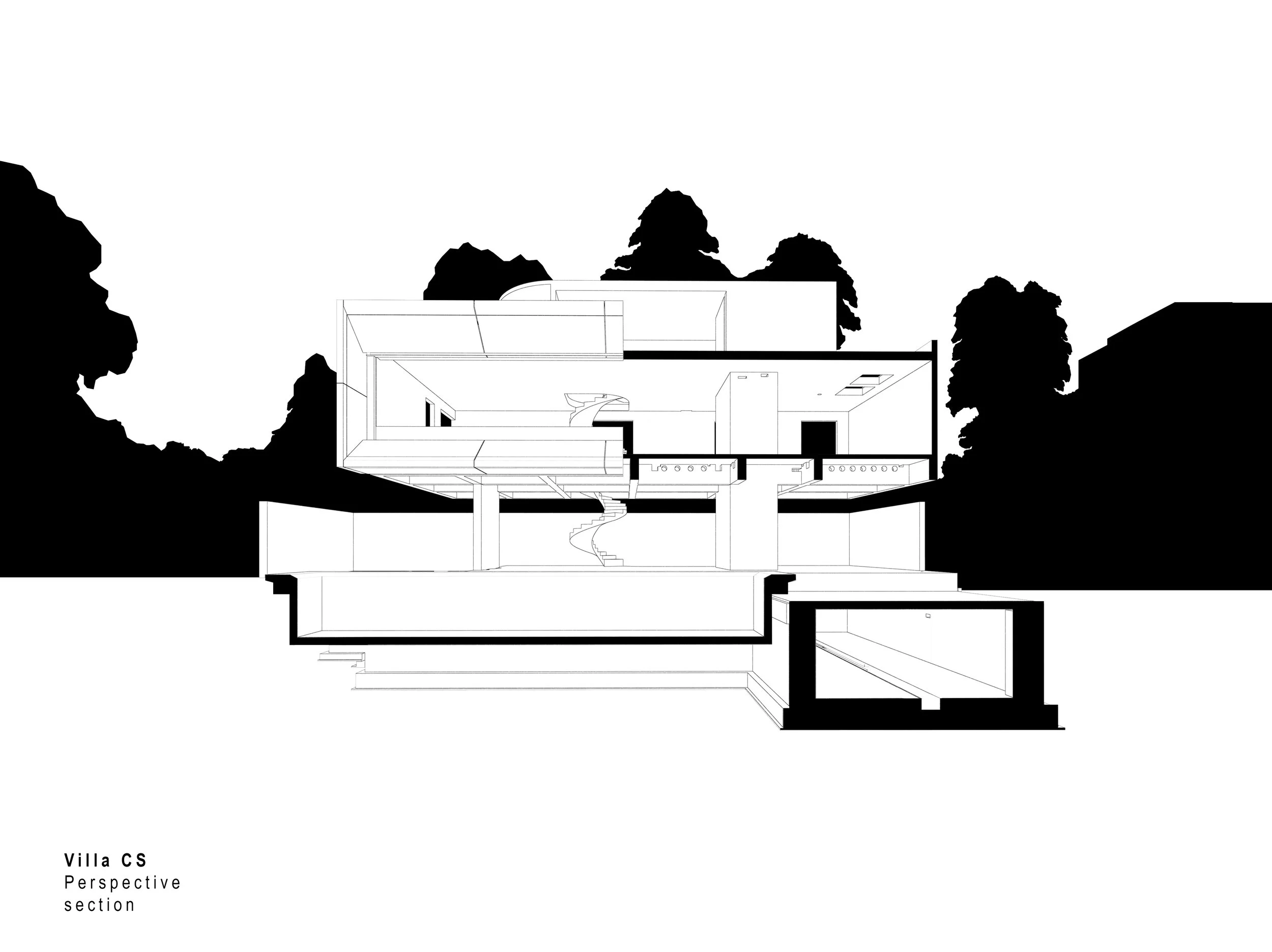 Csalán_3d metszet__02_20251013.jpg