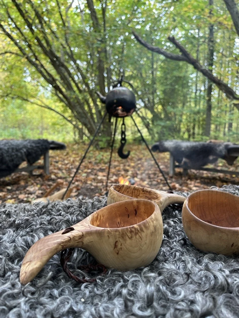 Fika gotland tryffeljakt.jpeg