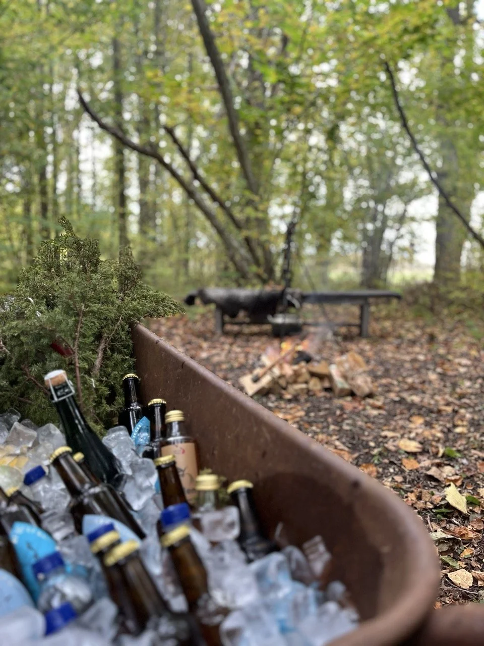 Utomhus event gotland tryffel.jpeg