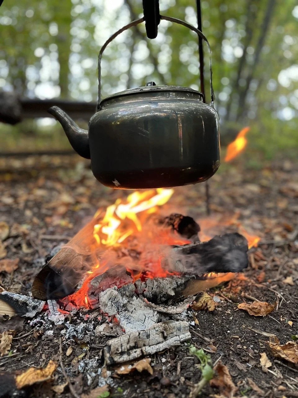 fika utomhus event.jpeg