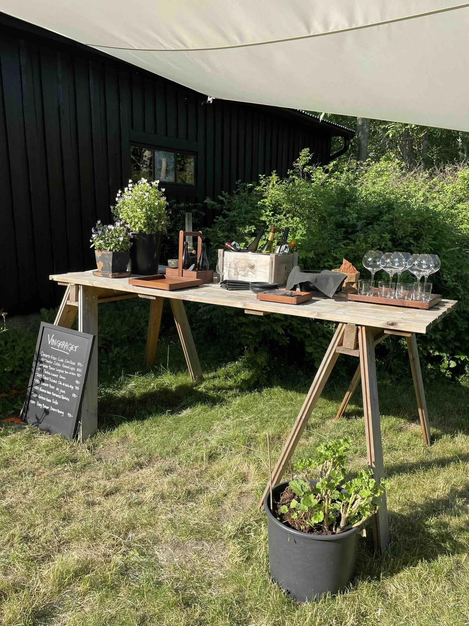 Krakas+krog+gotland.jpg.webp