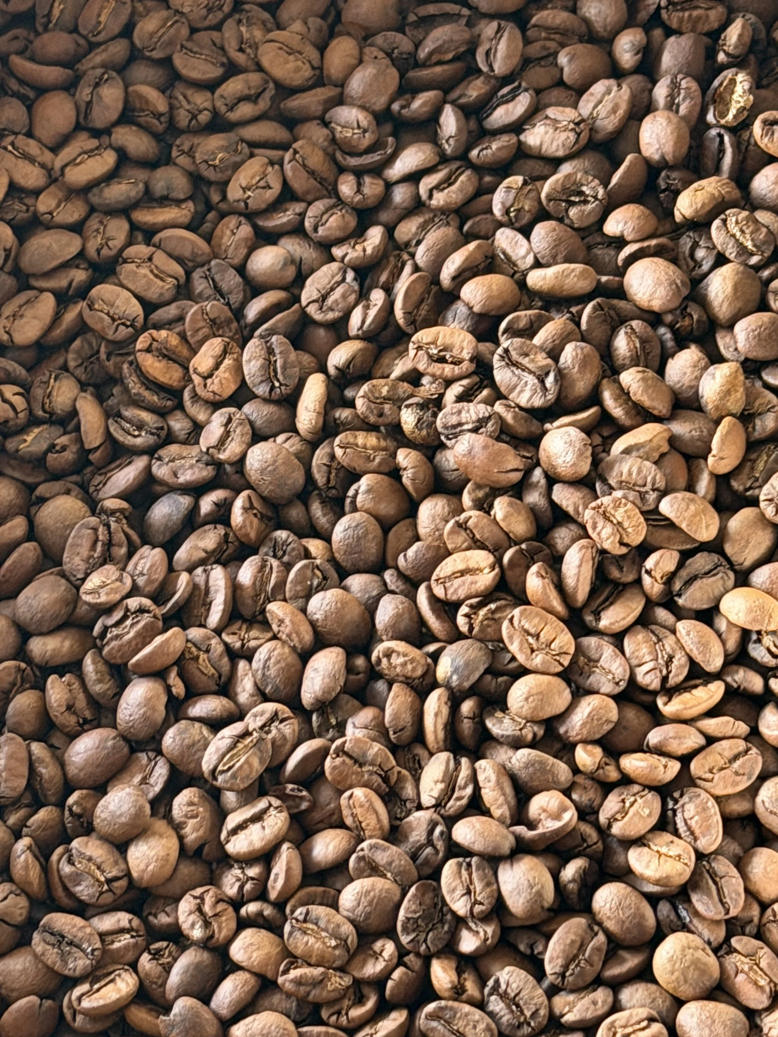 Close-up of roasted coffee beans scattered on a surface.