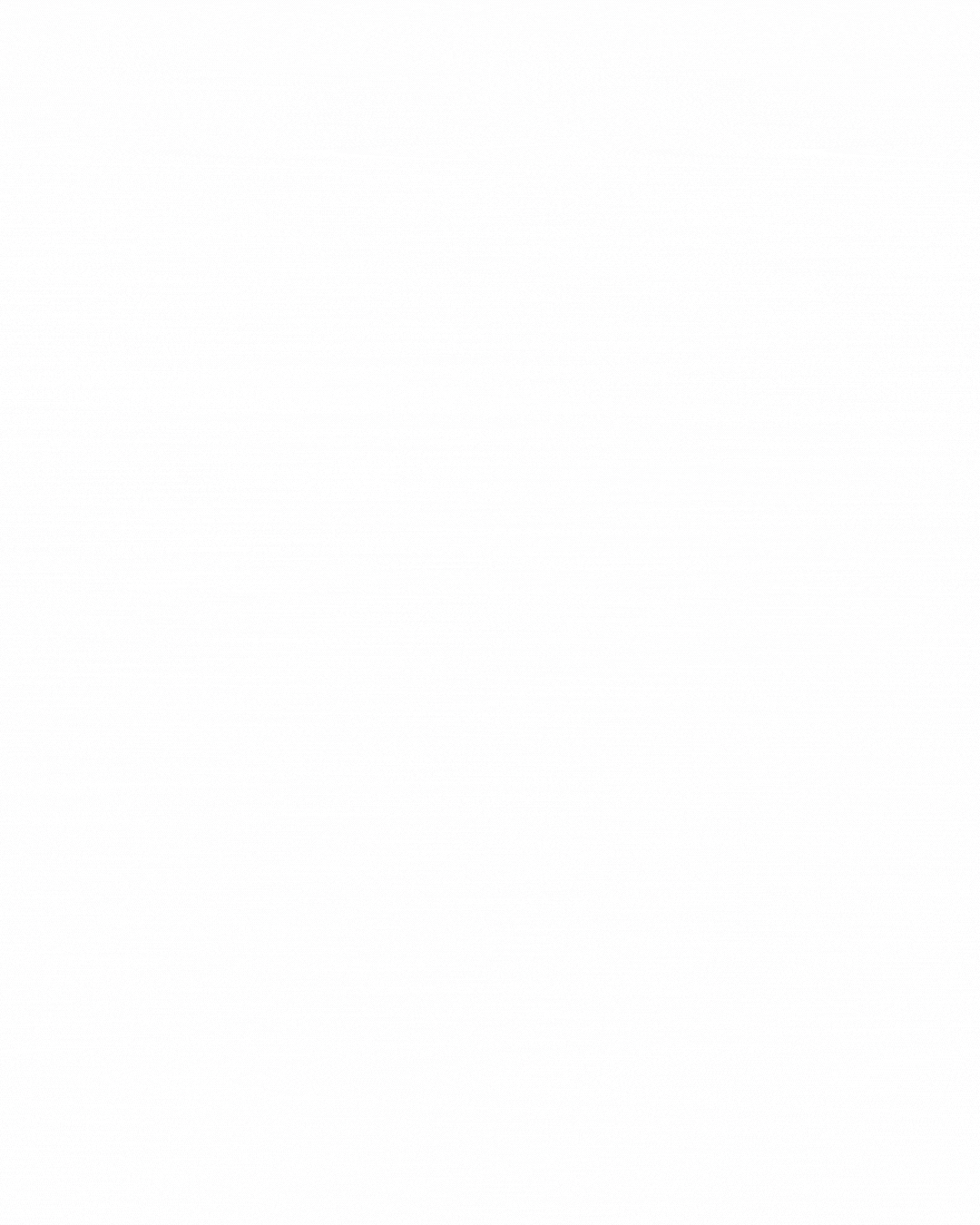 Empty white background with no visible objects or scenery.