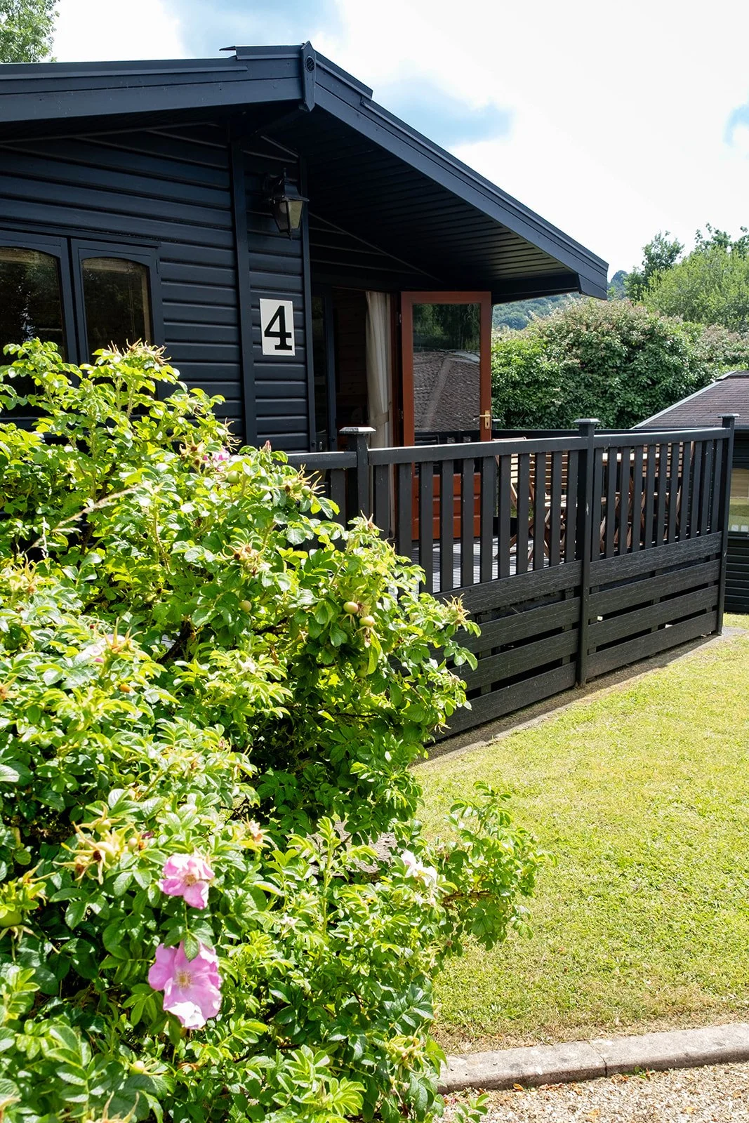 19-Jo Edginton Photography(c)-Forest of Dean Photographer-_DSF4412.jpg