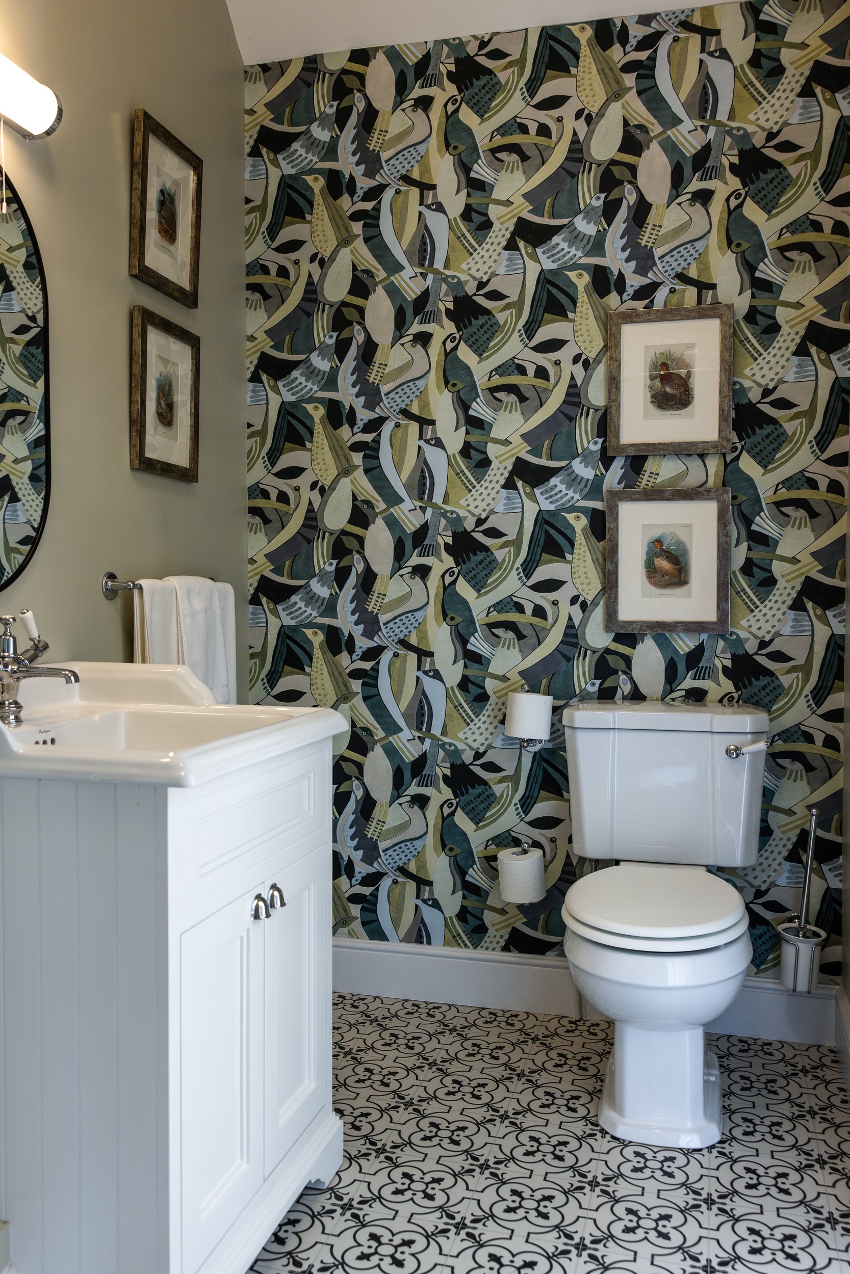 Bathroom with a patterned wall of colorful birds, a white vanity with a sink, framed bird art, and a white toilet with a toilet paper holder.