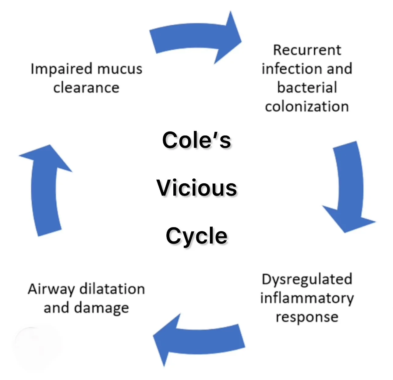 Diagram of Cole’s vicious cycle illustrating how inflammation, infection, and sputum production reinforce each other in bronchiectasis