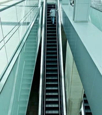 The Mucociliary Escalator: Why Airway Clearance Matters in Bronchiectasis