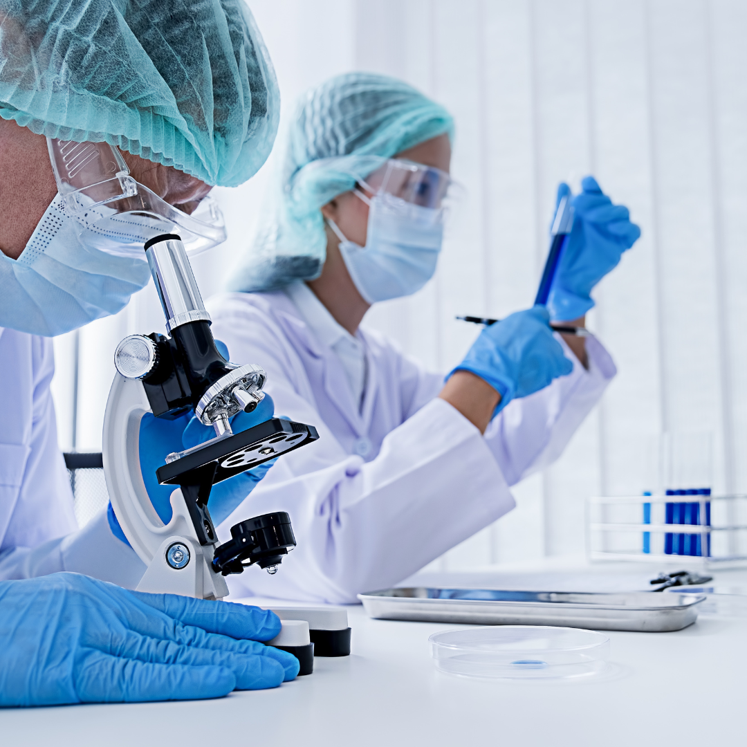 NTM researchers looking at sputum samples under a microscope