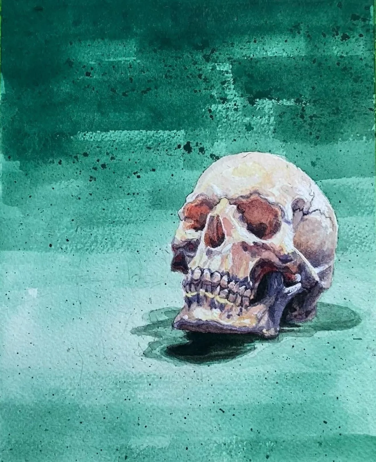 Cranium study of a skull, 2024