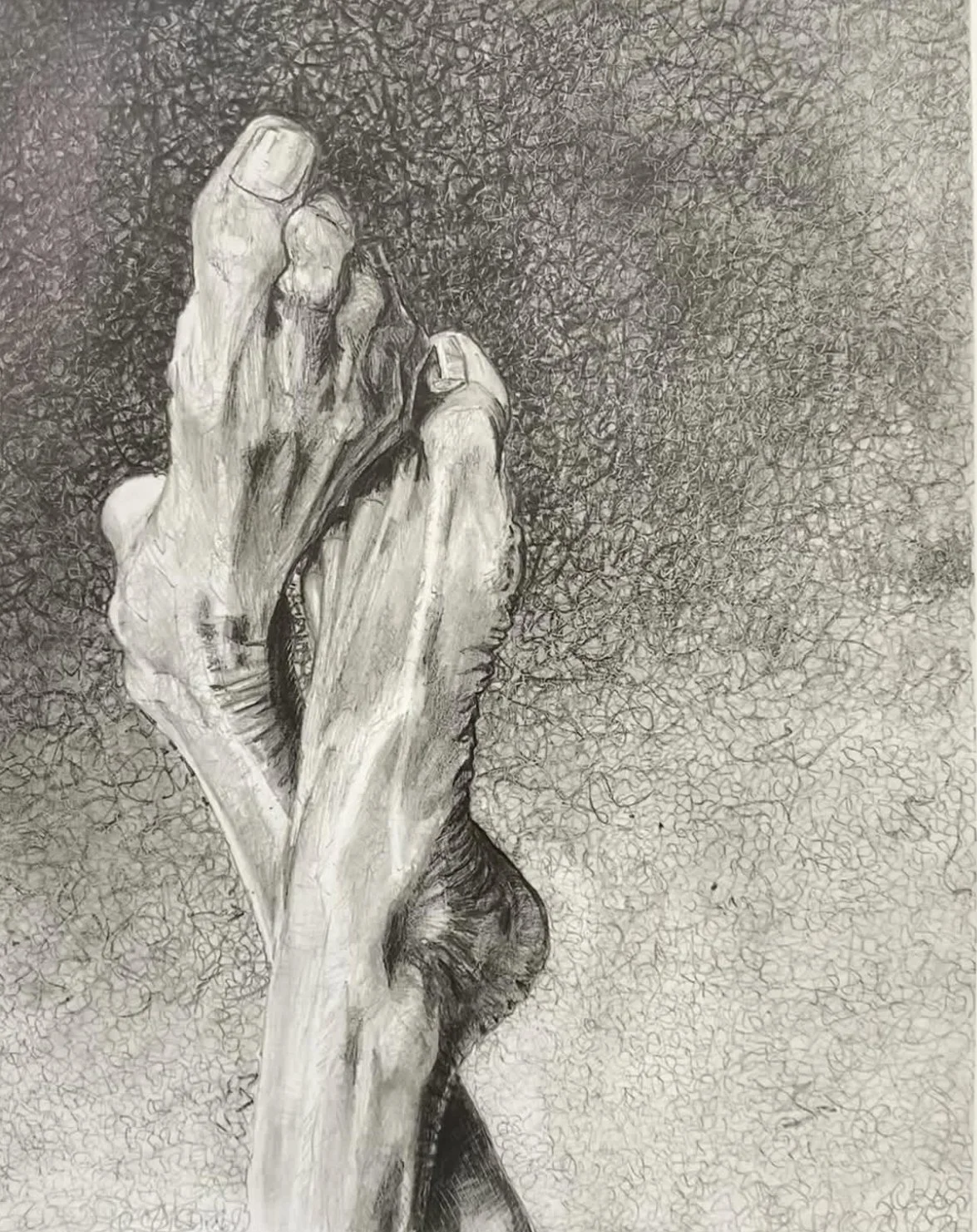 Elevatum Pedes, 2024