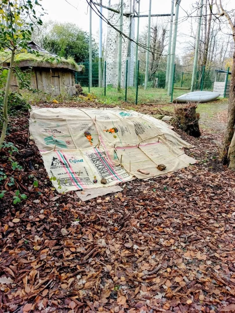 Explorer Picks up Gardening for DofE