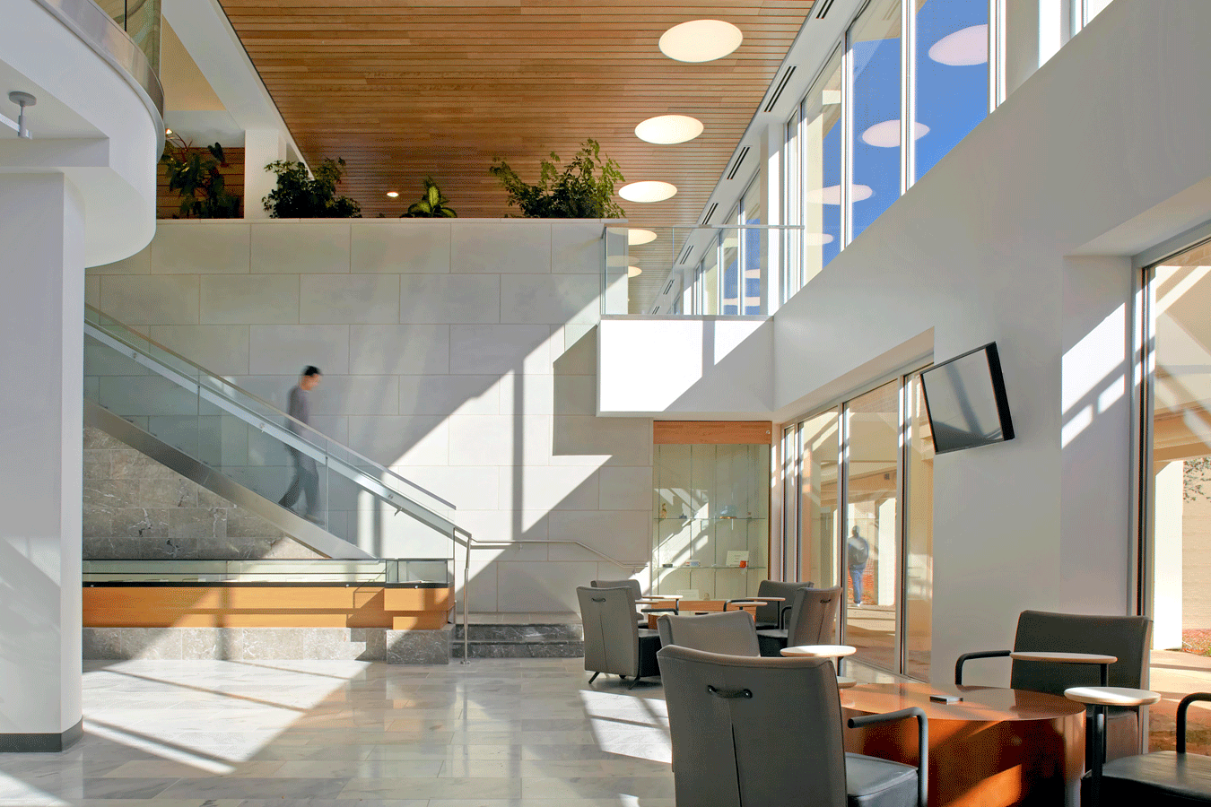 Ingram Library Renovations 