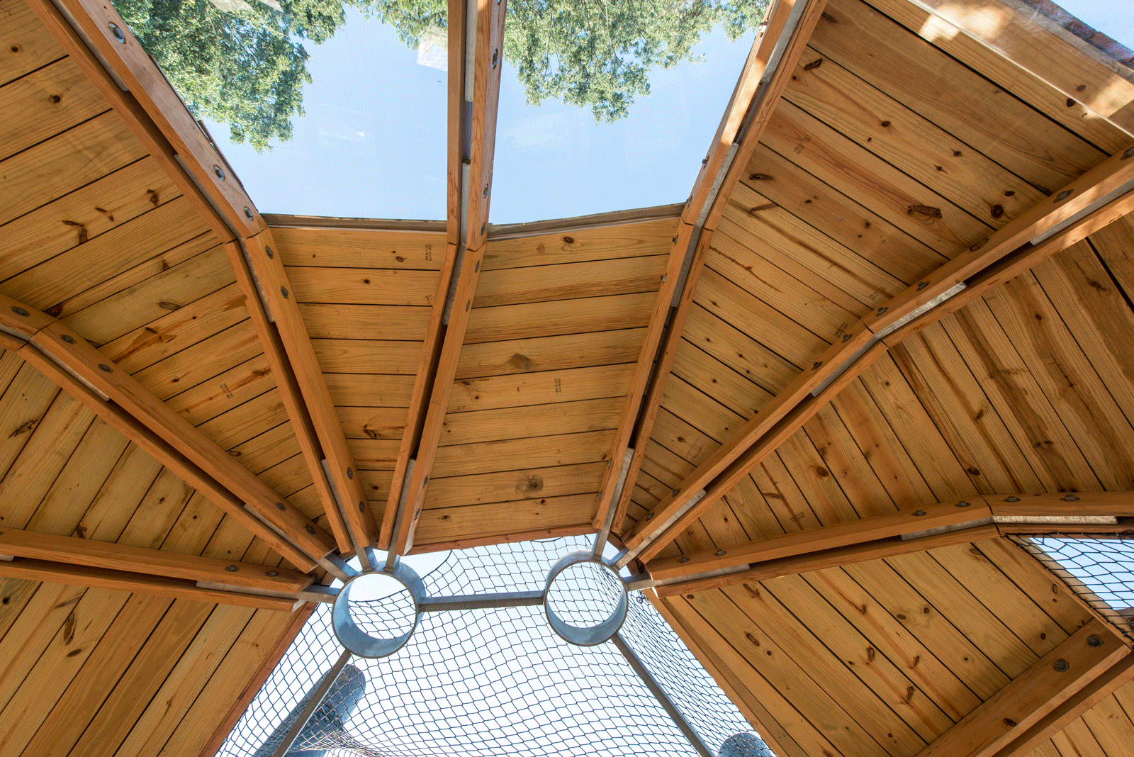 Modern and angular wooden and glass ceiling of treehouse