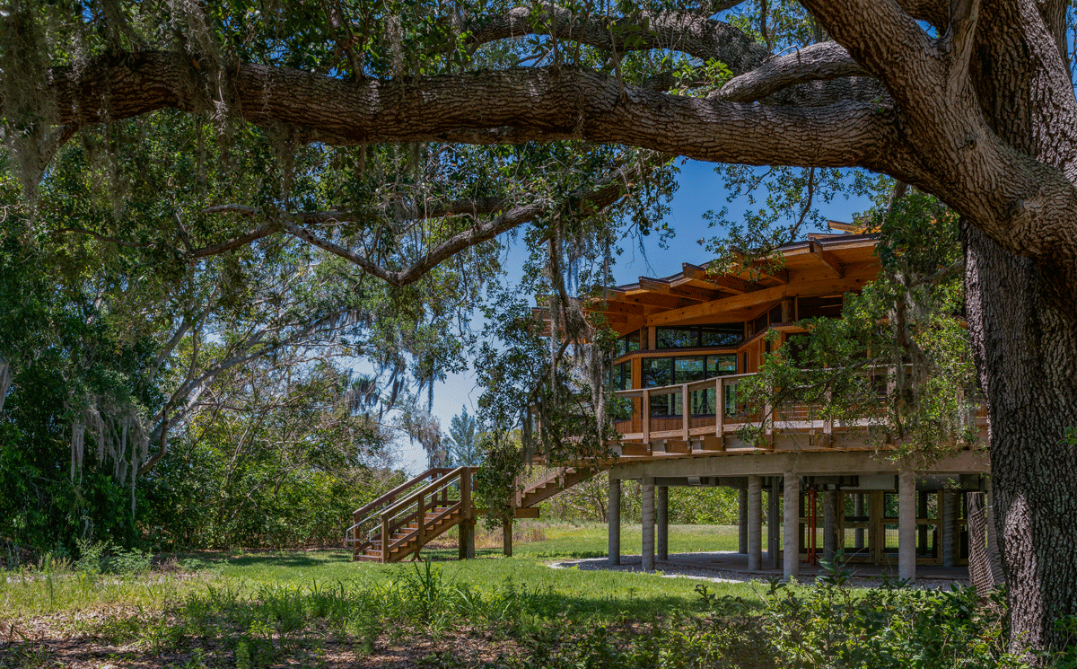 Exterior of the educational center in the canopy setting