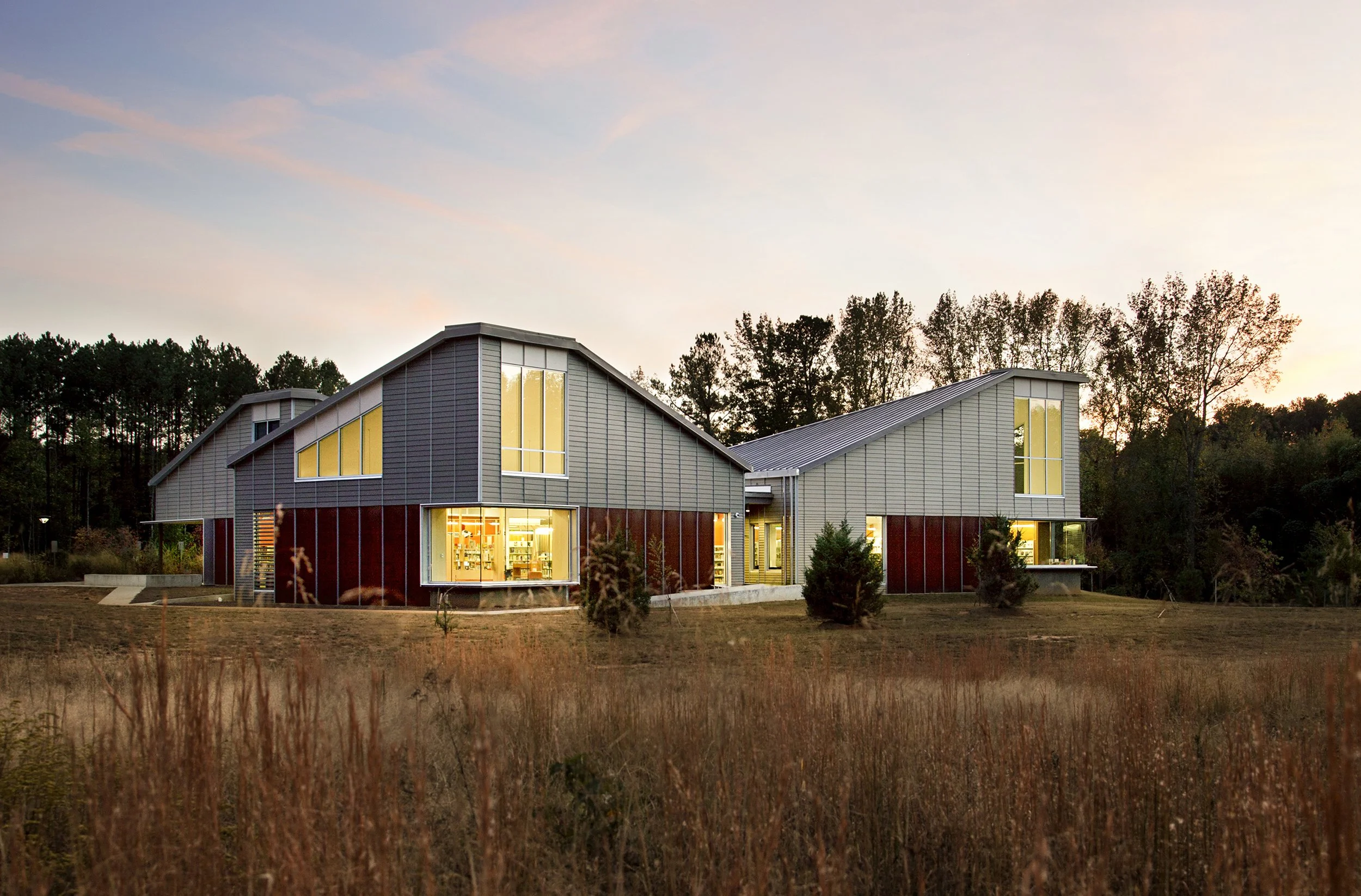 Palmetto Library | Fulton Public Library 