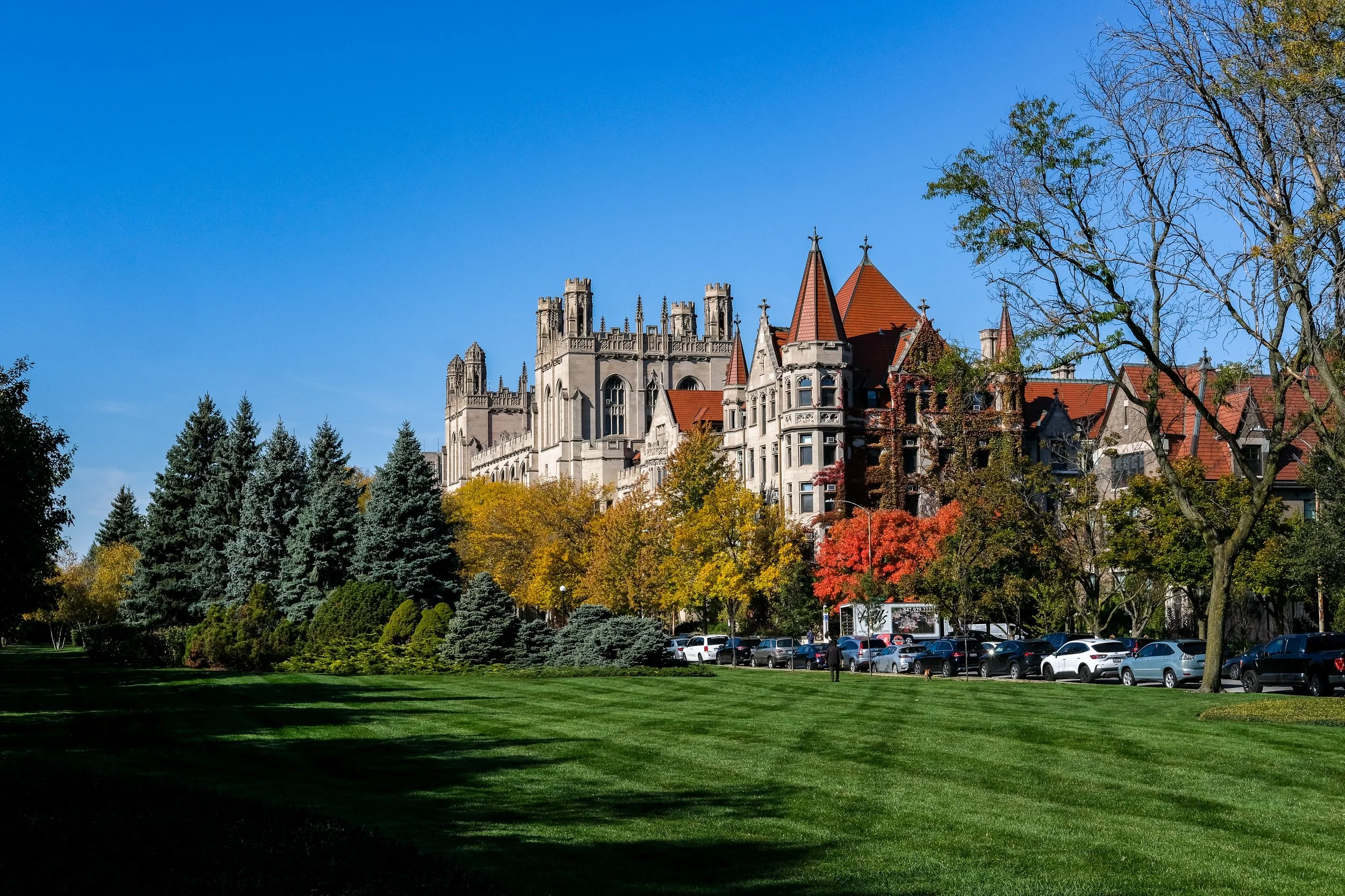The University of Chicago