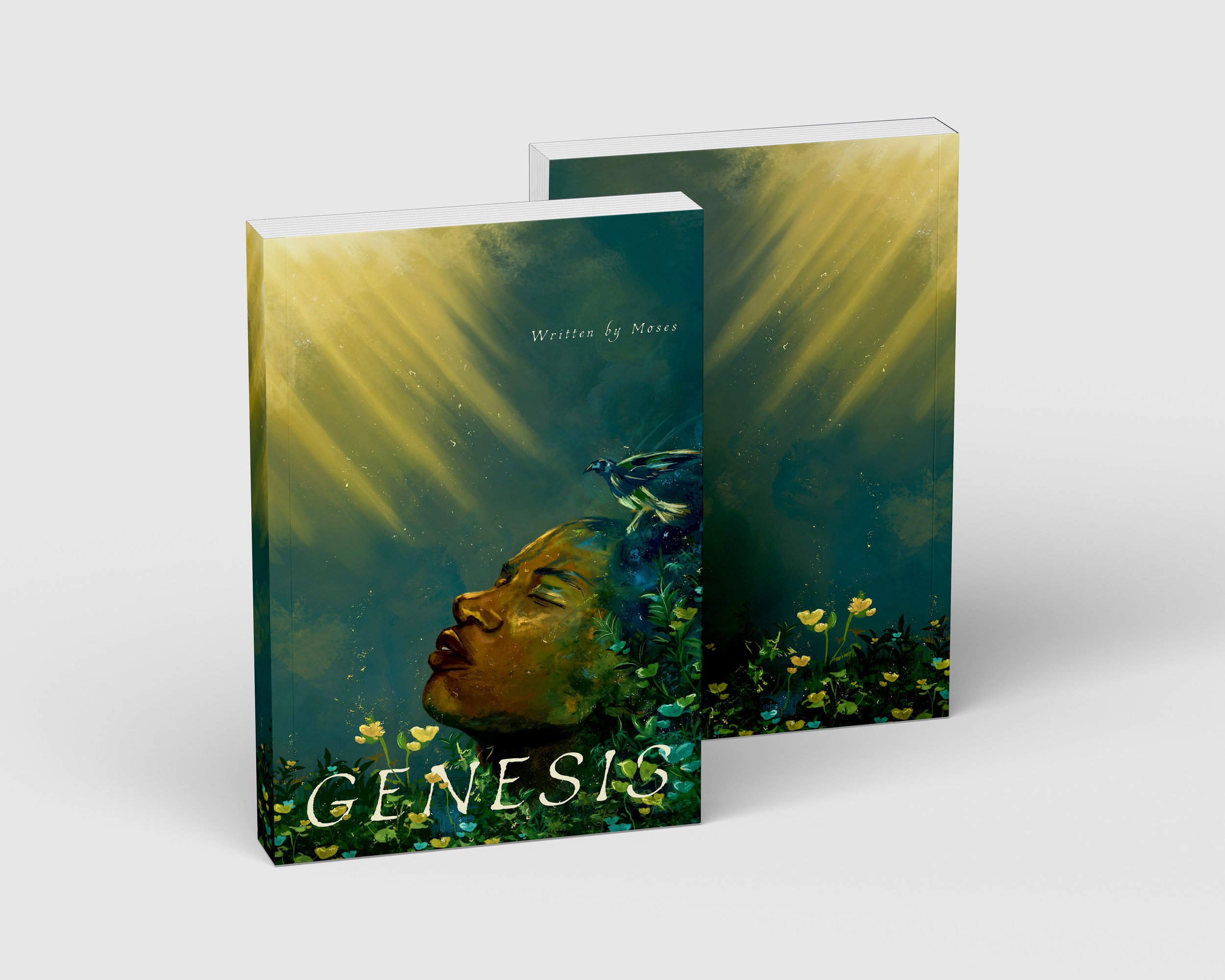 Genesis Book Cover.jpg