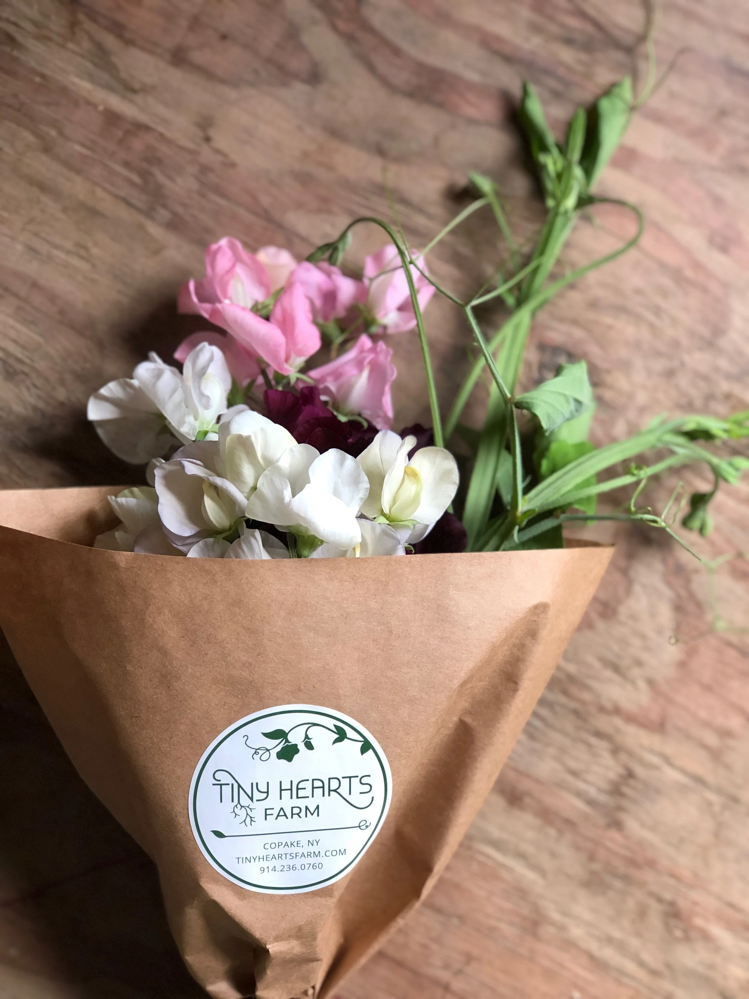 Bouquet of pink, white, and dark red sweet peas wrapped in brown paper with a "Tiny Hearts Farm" label from Copake, NY.