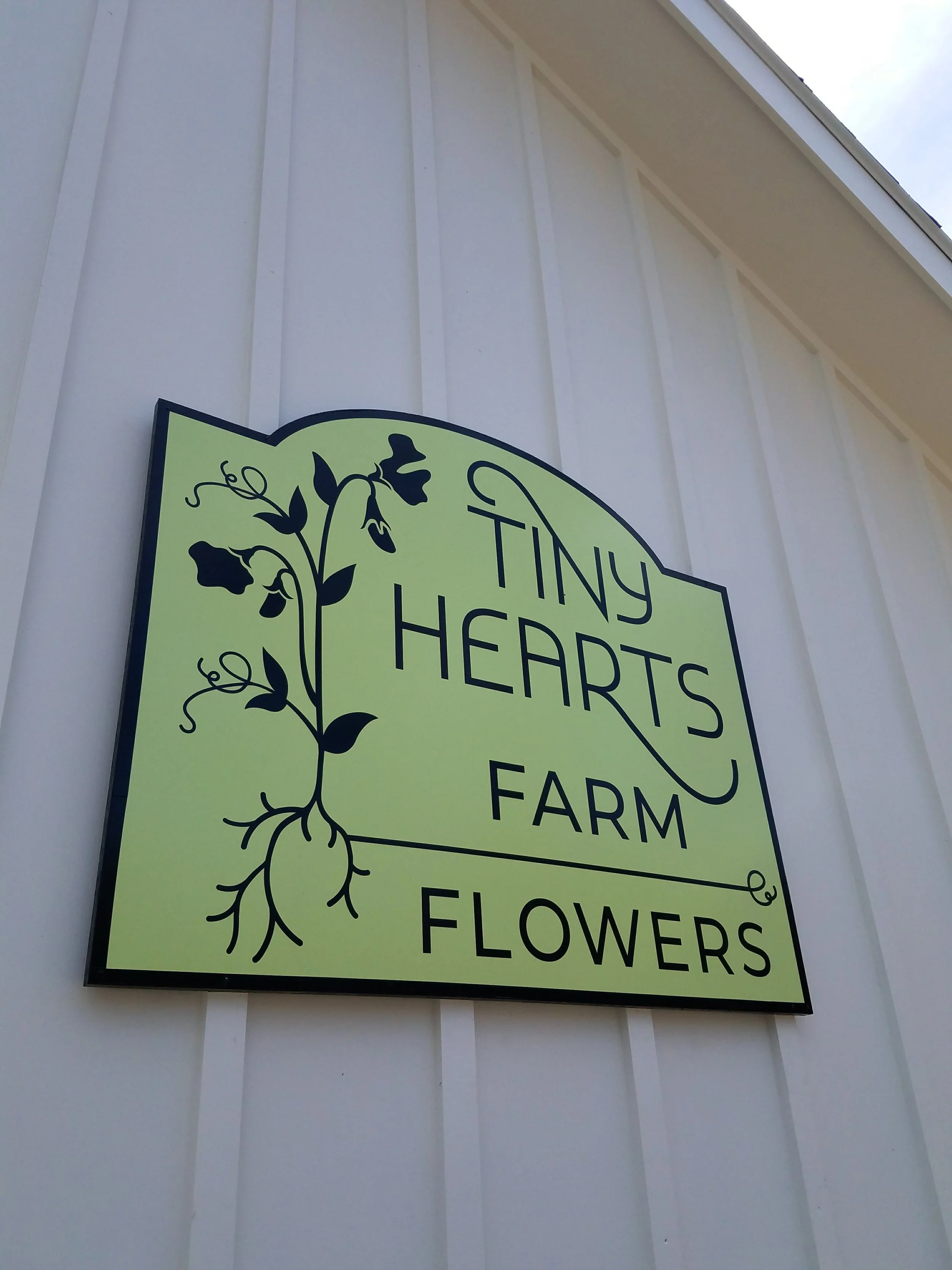 Sign for Tiny Hearts Farm Flowers, featuring a flower with roots design on a pale green background, mounted on a white wall.