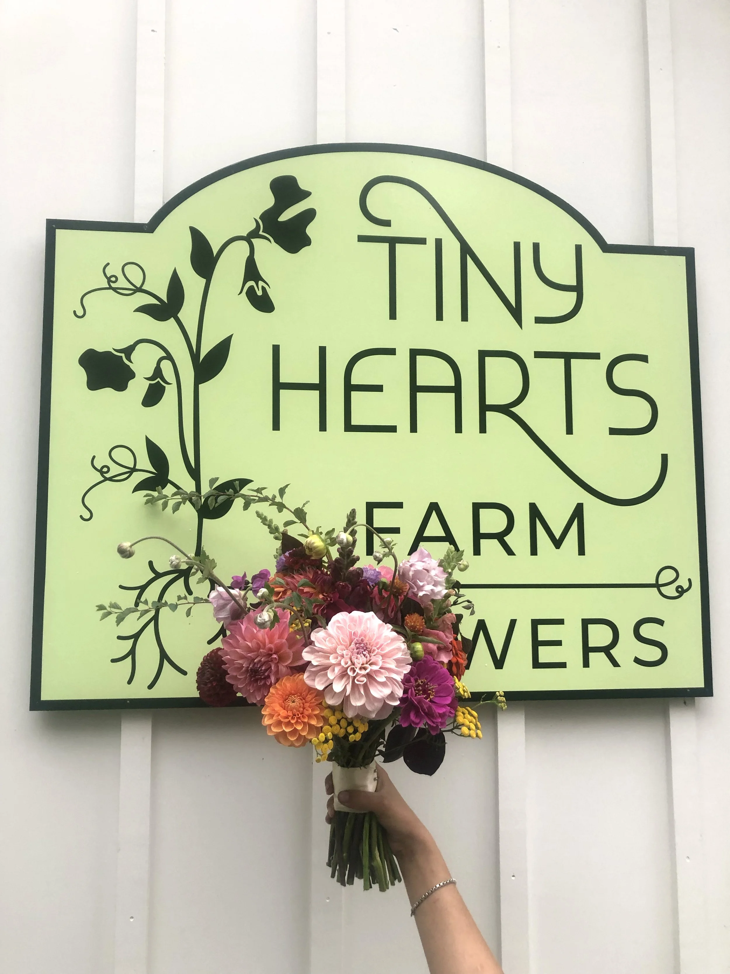 Colorful bouquet of flowers held by a person's hand in front of a sign that reads 'Tiny Hearts Farm Flowers' with a decorative black vine design on a light green background