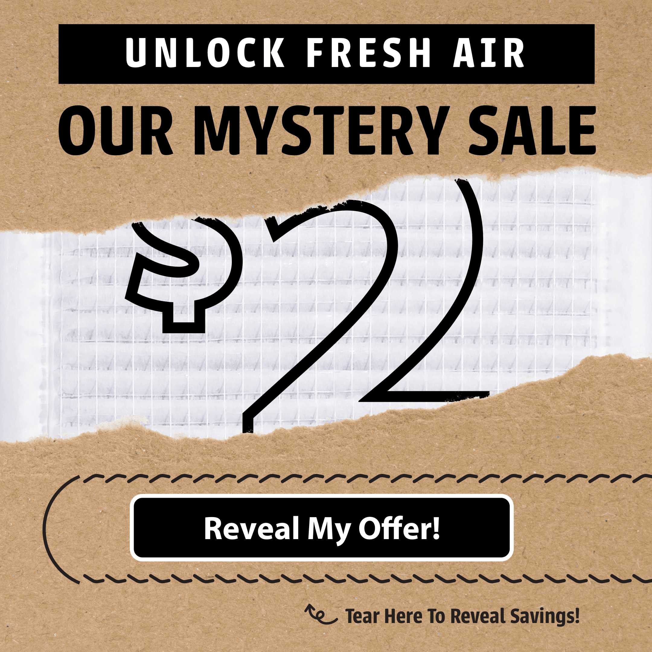01-1x1-1080x1080-Mystery-Offer.gif