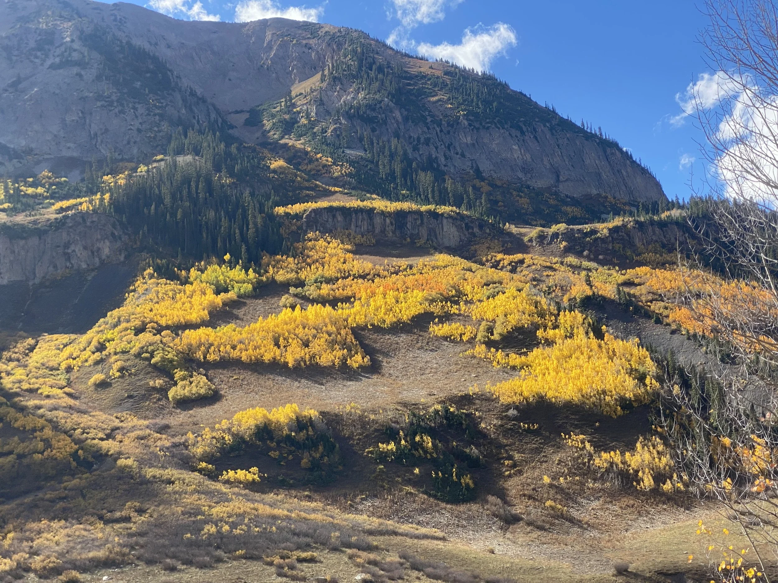 Ep. 6 | Atlas Browser Unveiled: A New Era of AI-Powered Surfing