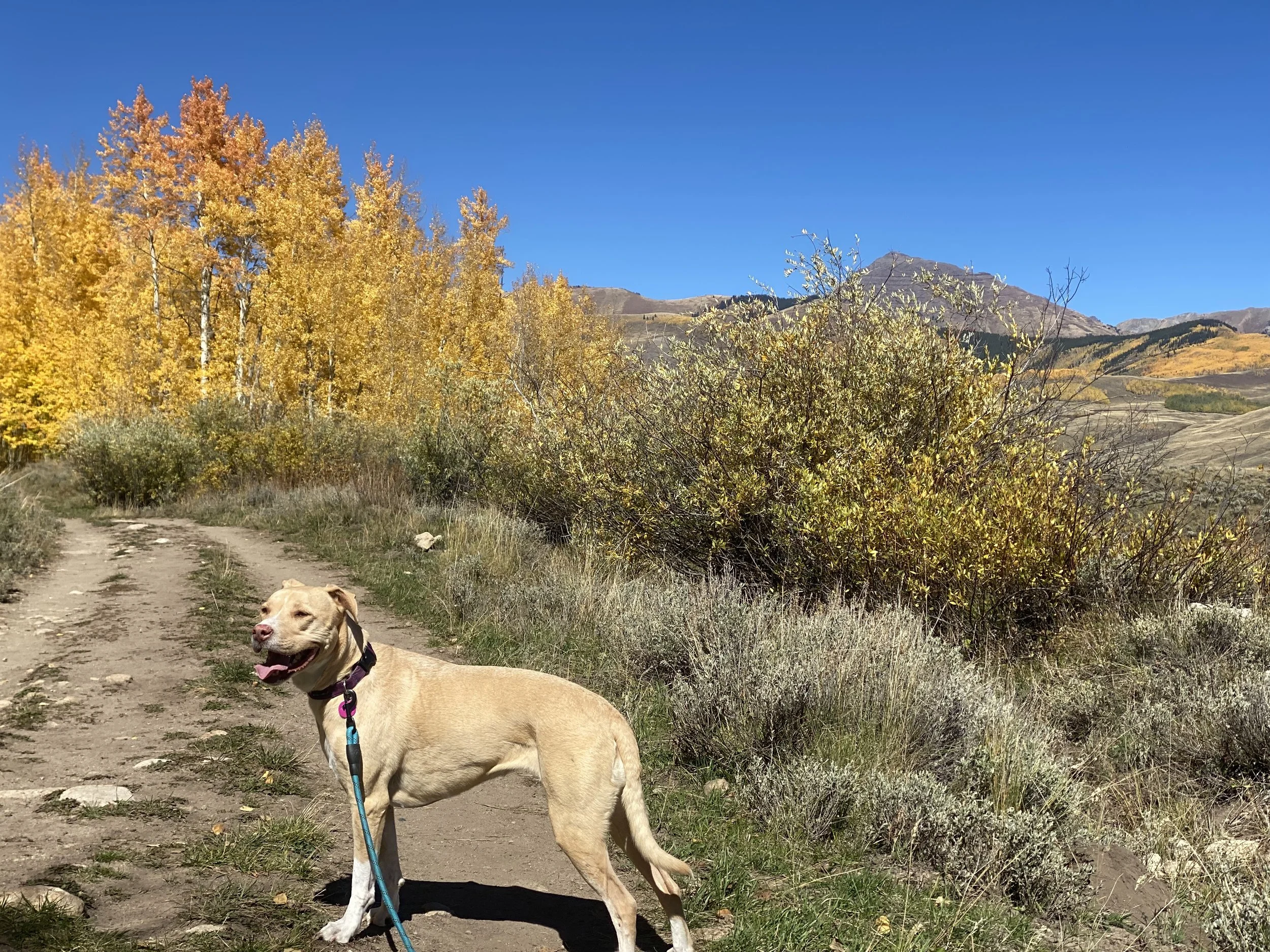 Ep. 7 | From Behind the 8-Ball: Marketing Insights with Ryan &amp; Spenser