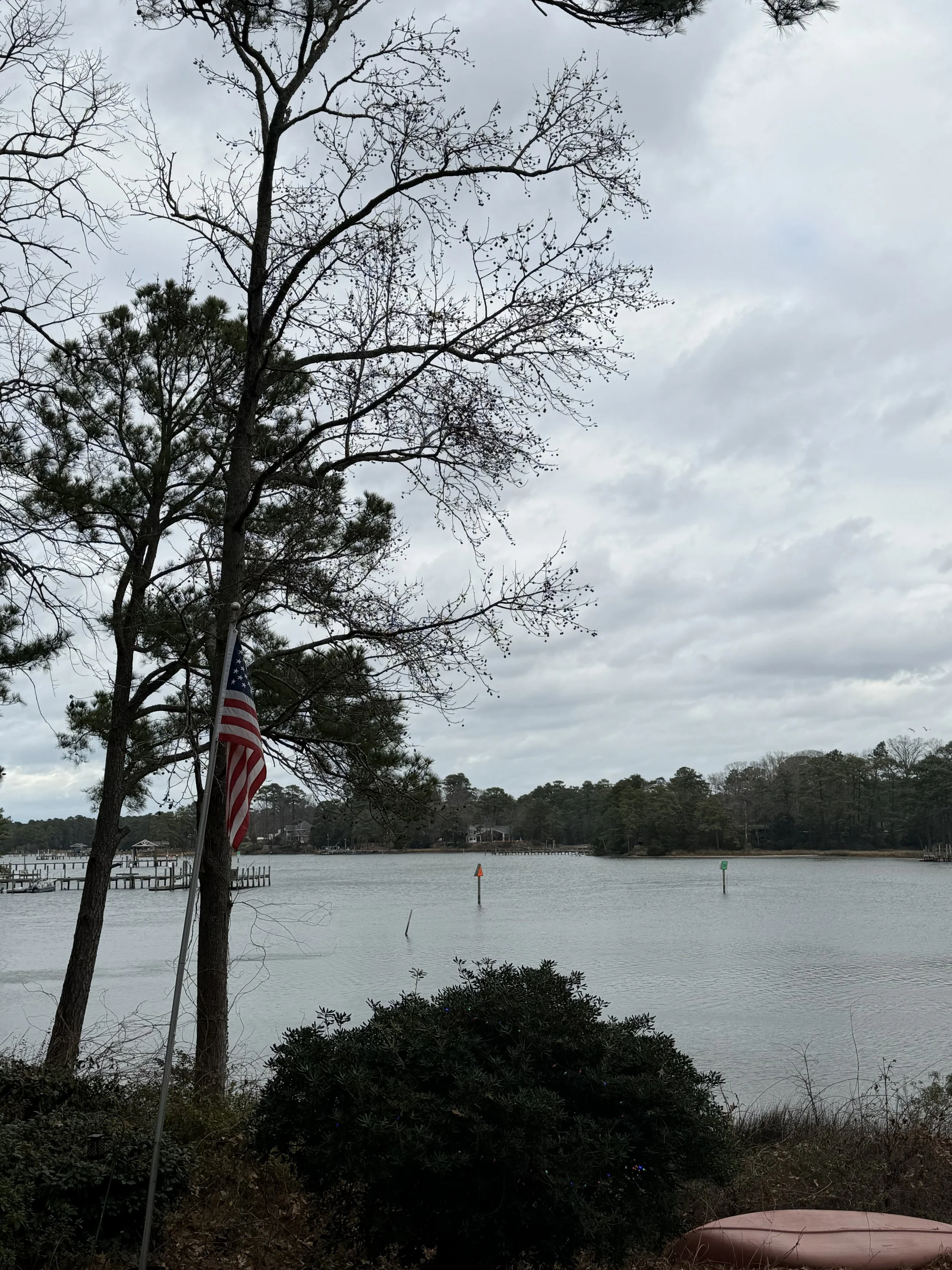 Ep. 9 | The Truth About Corporate Consulting &amp; Why It Often Fails