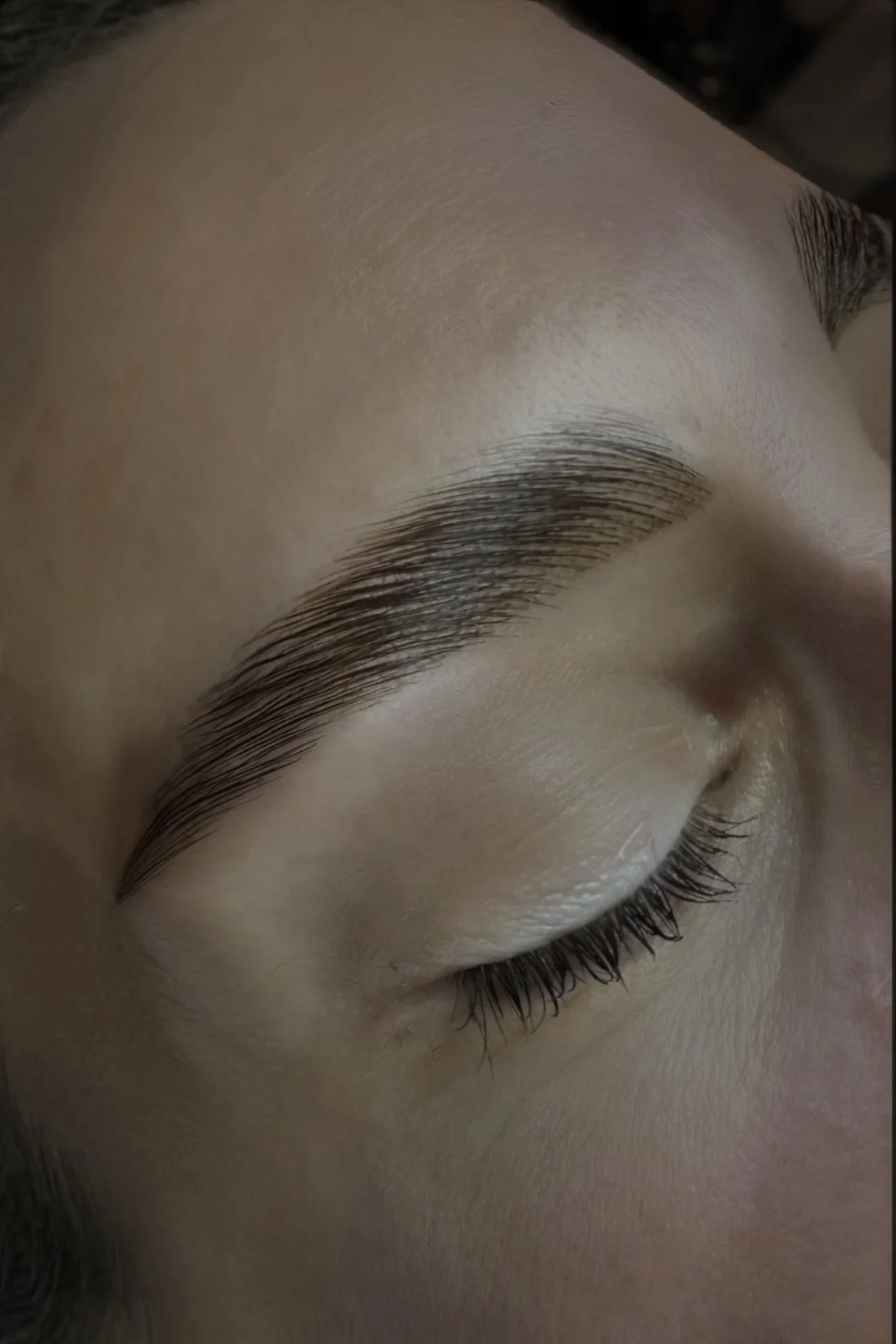 Close-up of a person's closed eye showcasing well-groomed eyebrows, long eyelashes, and smooth skin.