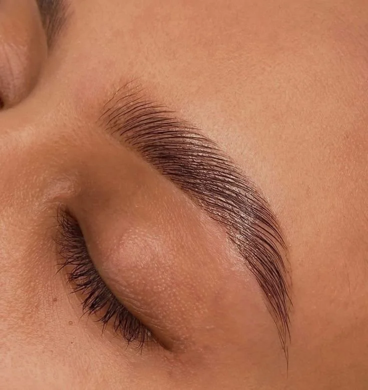 Close-up of a person's closed eye showing well-groomed eyebrow and long eyelashes.
