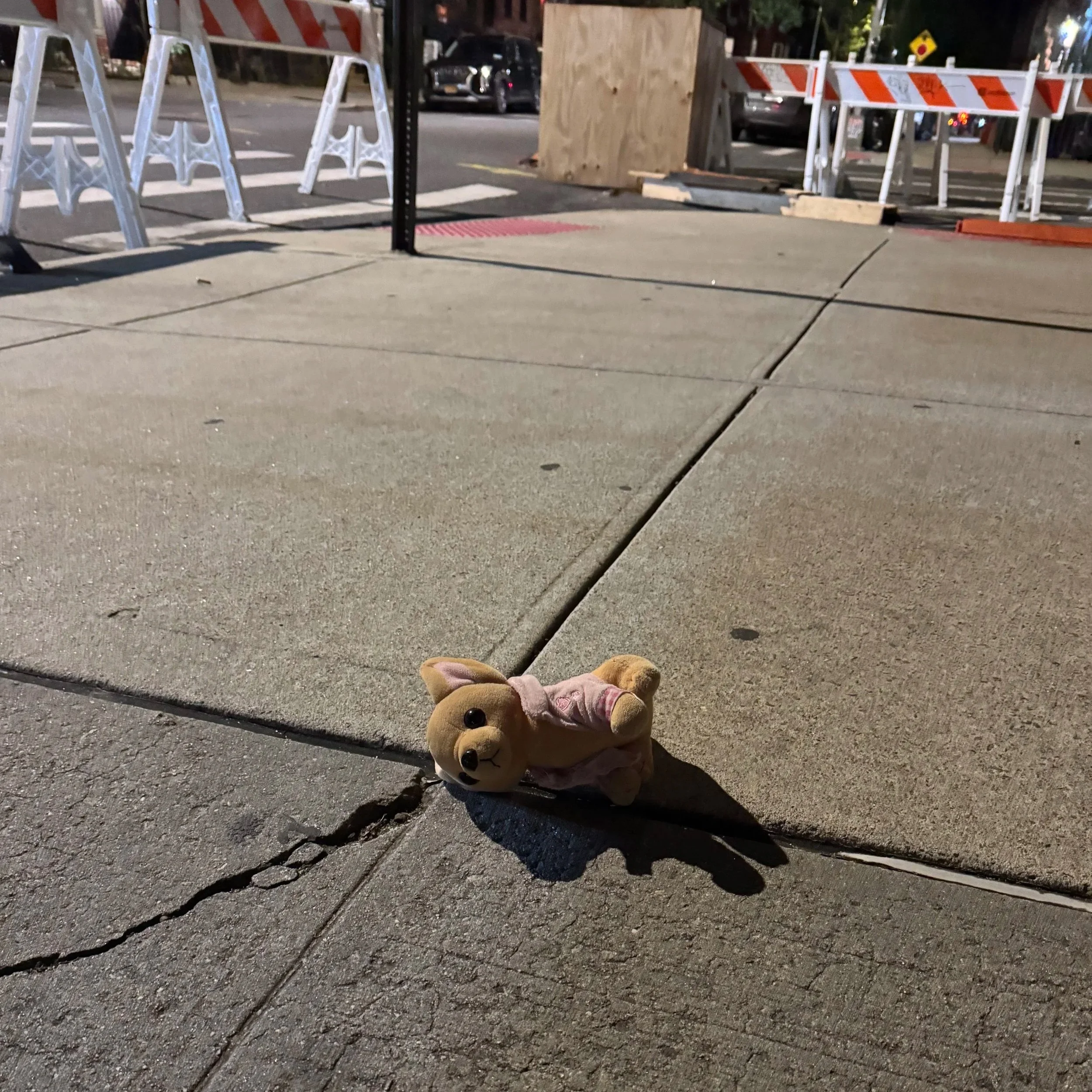 A worn teddy bear lying on a cracked sidewalk at night in an urban area with construction barriers and parked cars in the background.