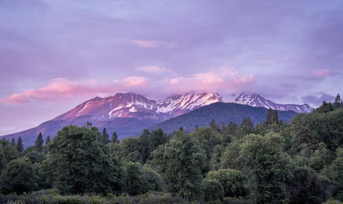 February in Shasta County: Love, Home and The Sweet Life