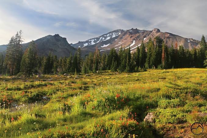 August in Shasta County: Back to Routine, Back to Home 