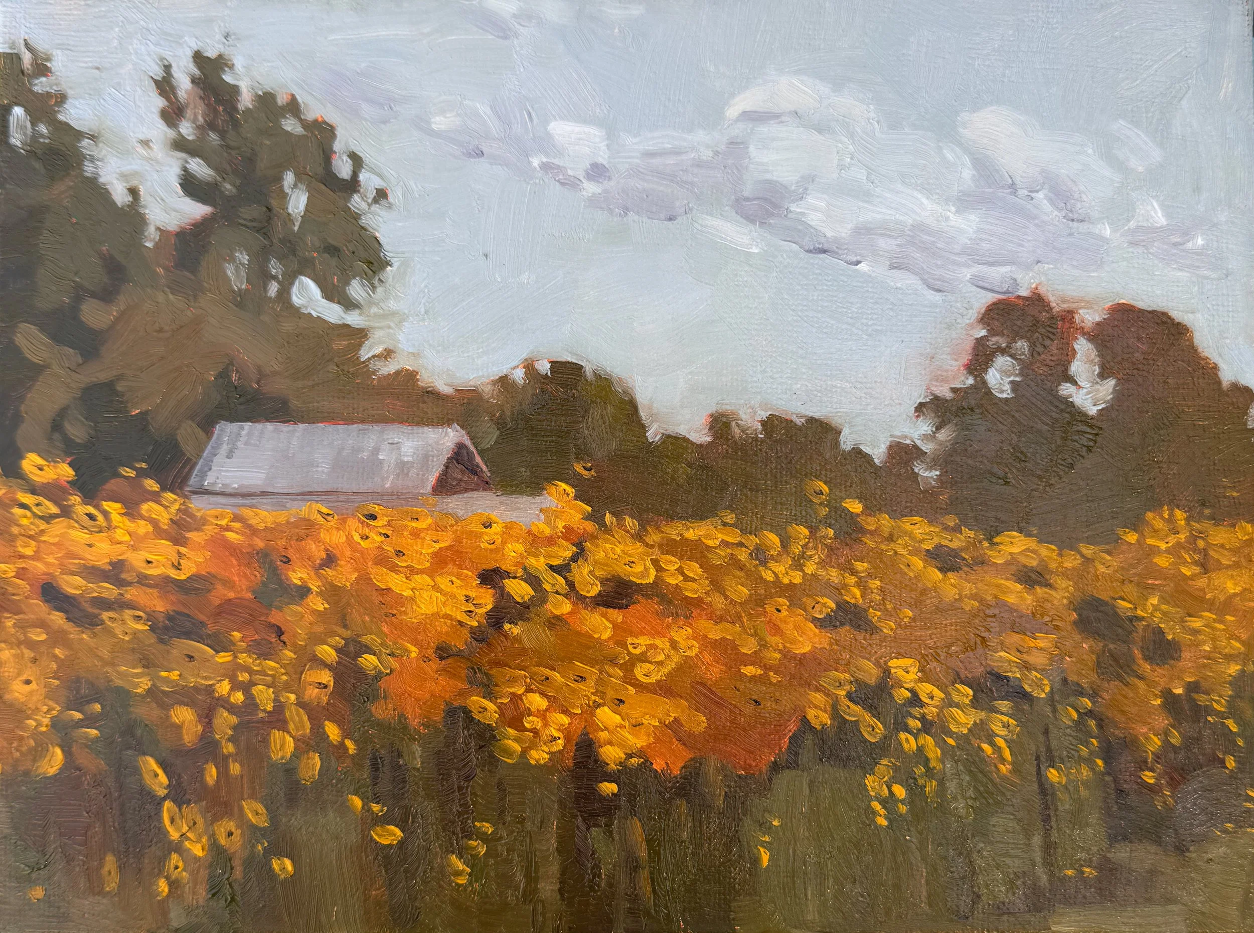 Restoration in Progress.JPG