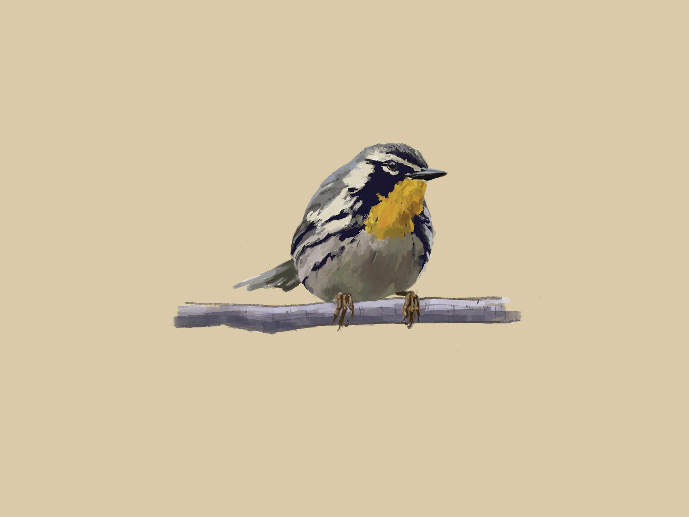 Print | Yellow Throated Warbler | 6"x8"