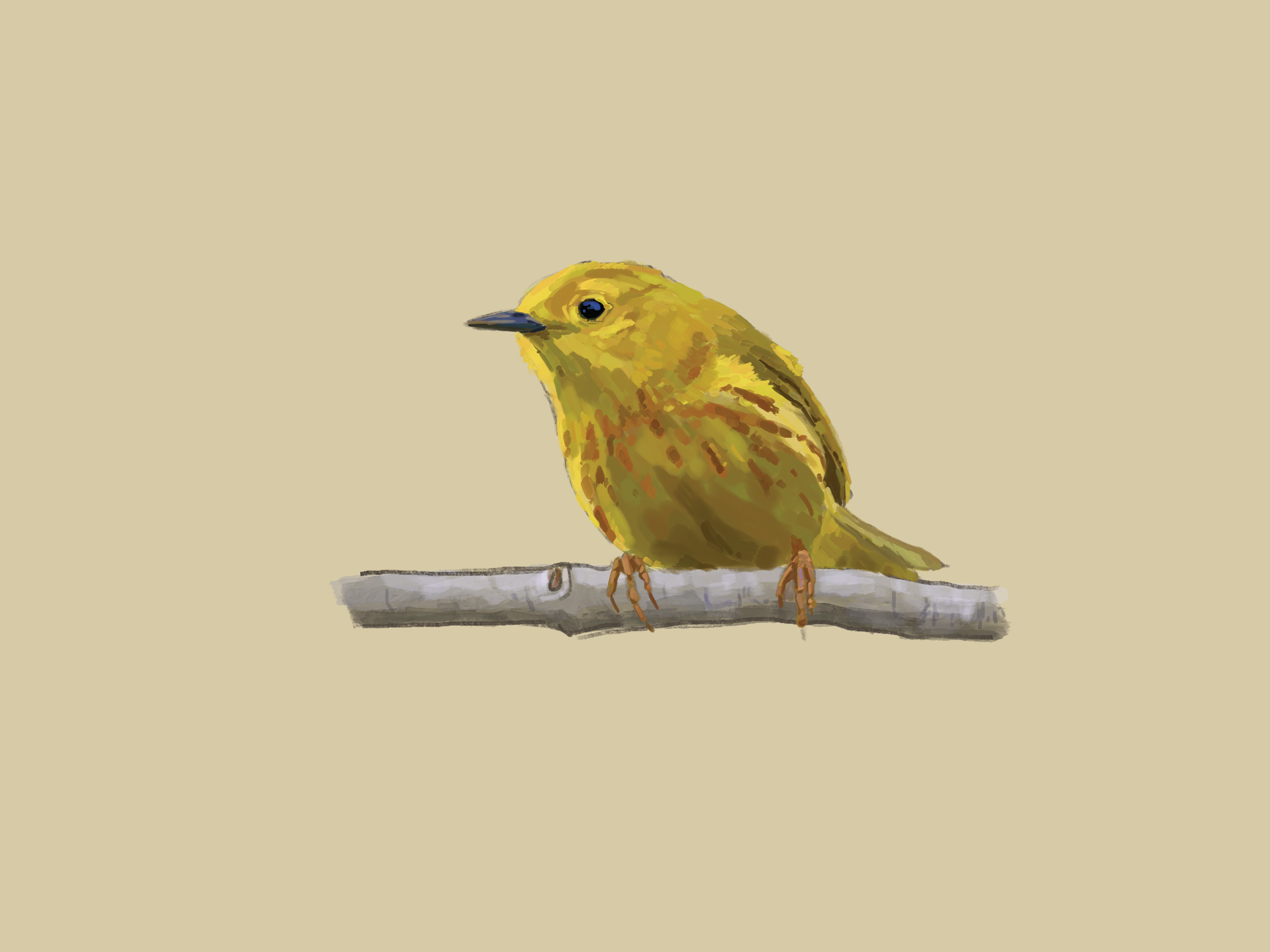 Print | Yellow Warbler | 6"x8"